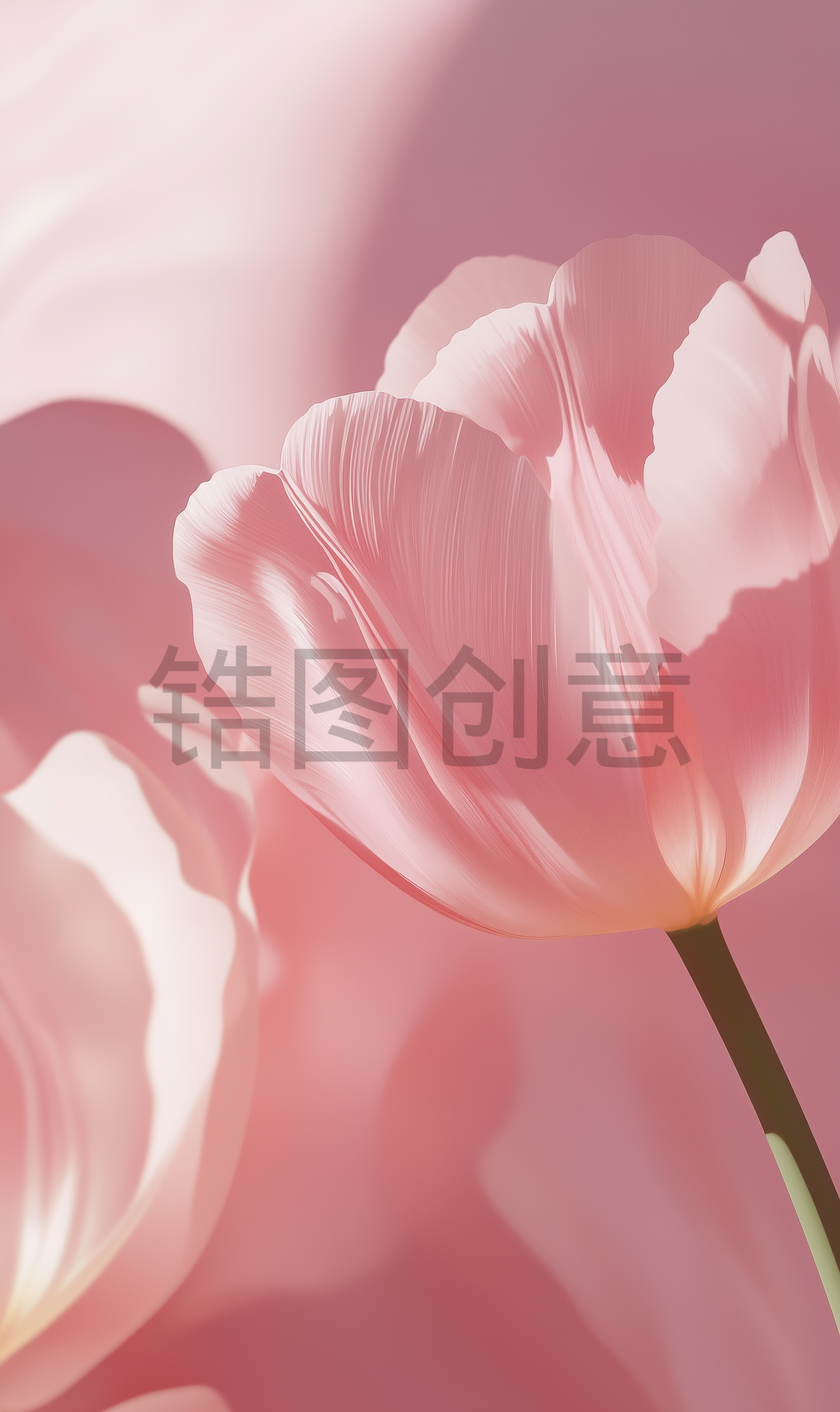 植物系列肌理感粉色花朵背景
