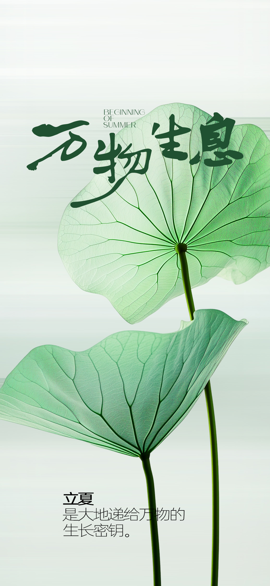 立夏夏至简约海报