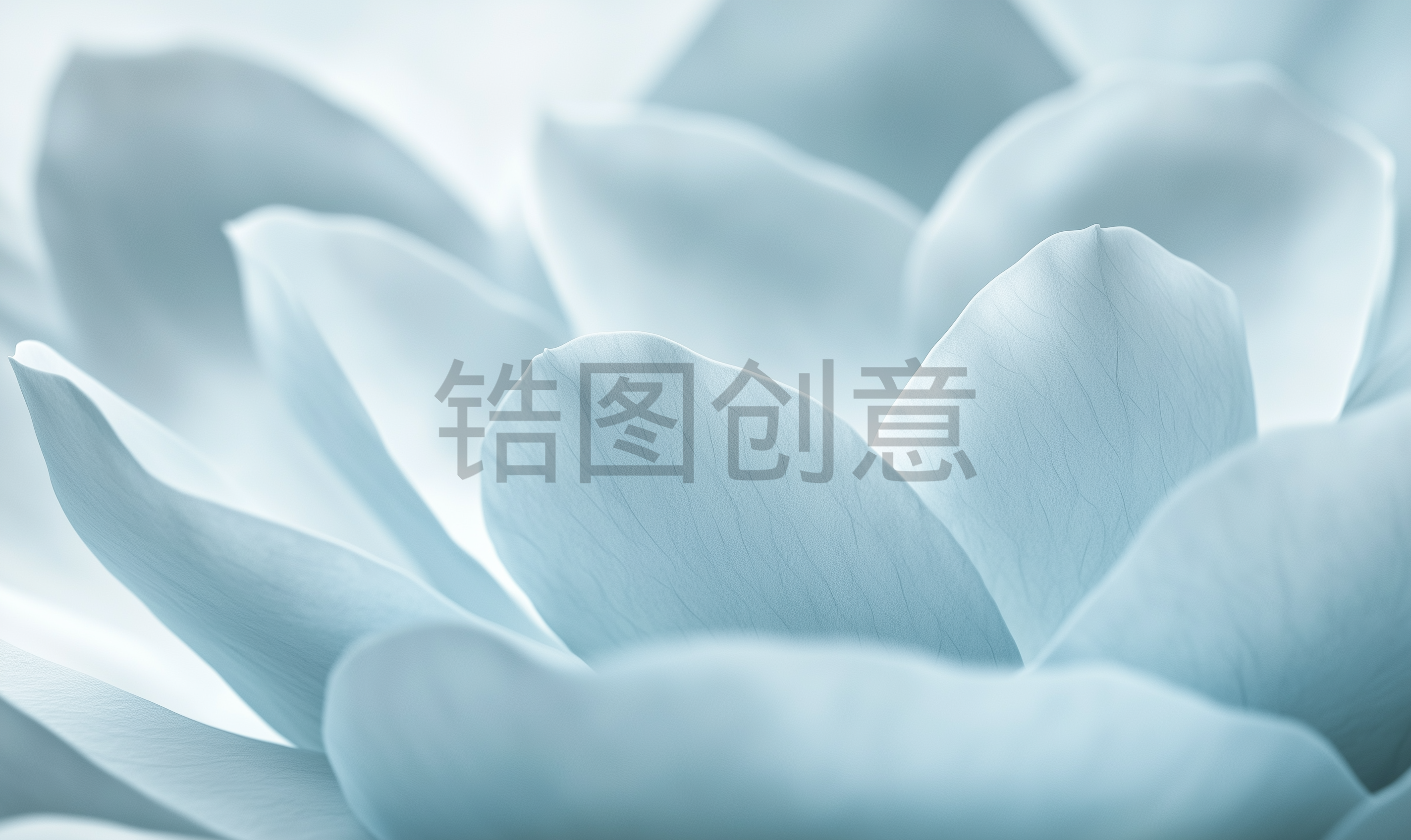 近距离拍摄由白纸材料制成的大型花瓣状结构，低角度拍摄，以cinema4D风格呈现，淡蓝色和灰色调背景