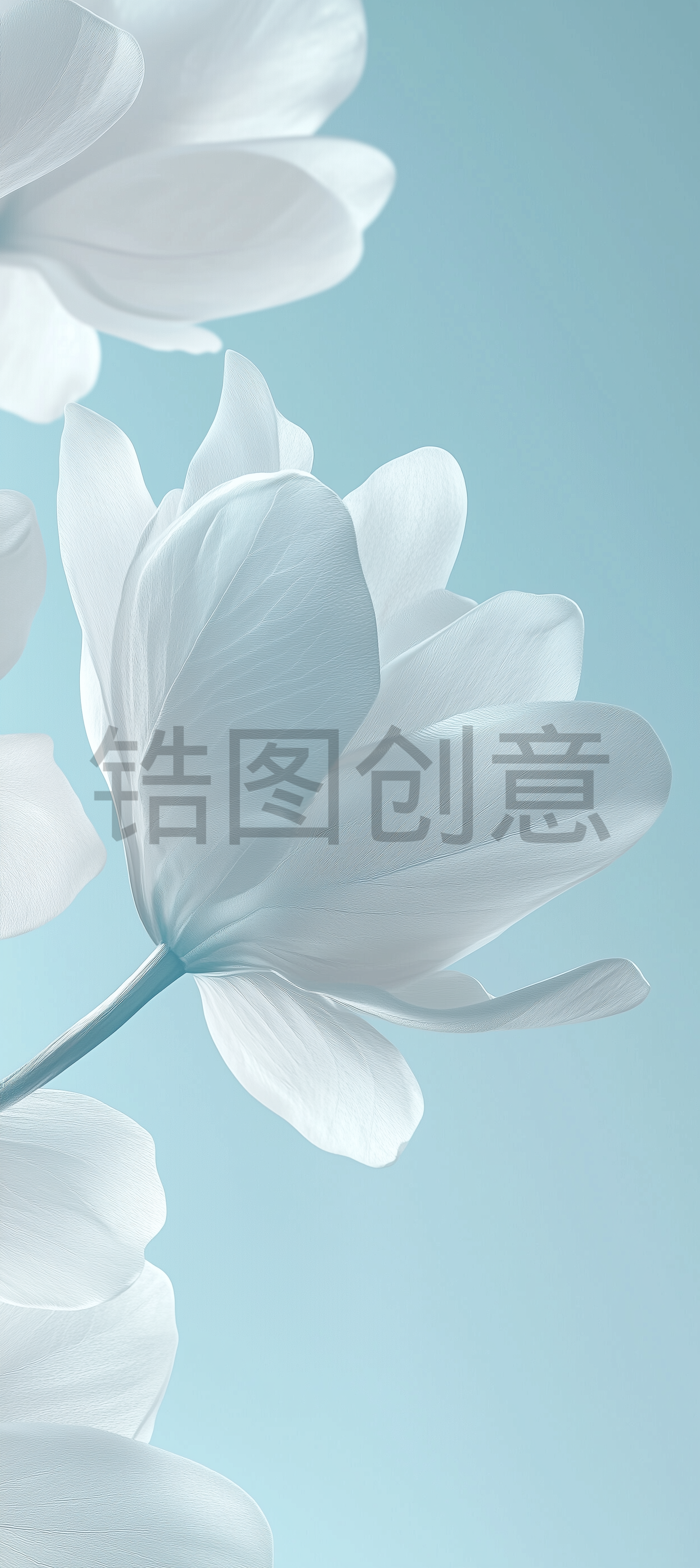 近距离拍摄花瓣状淡蓝色背景