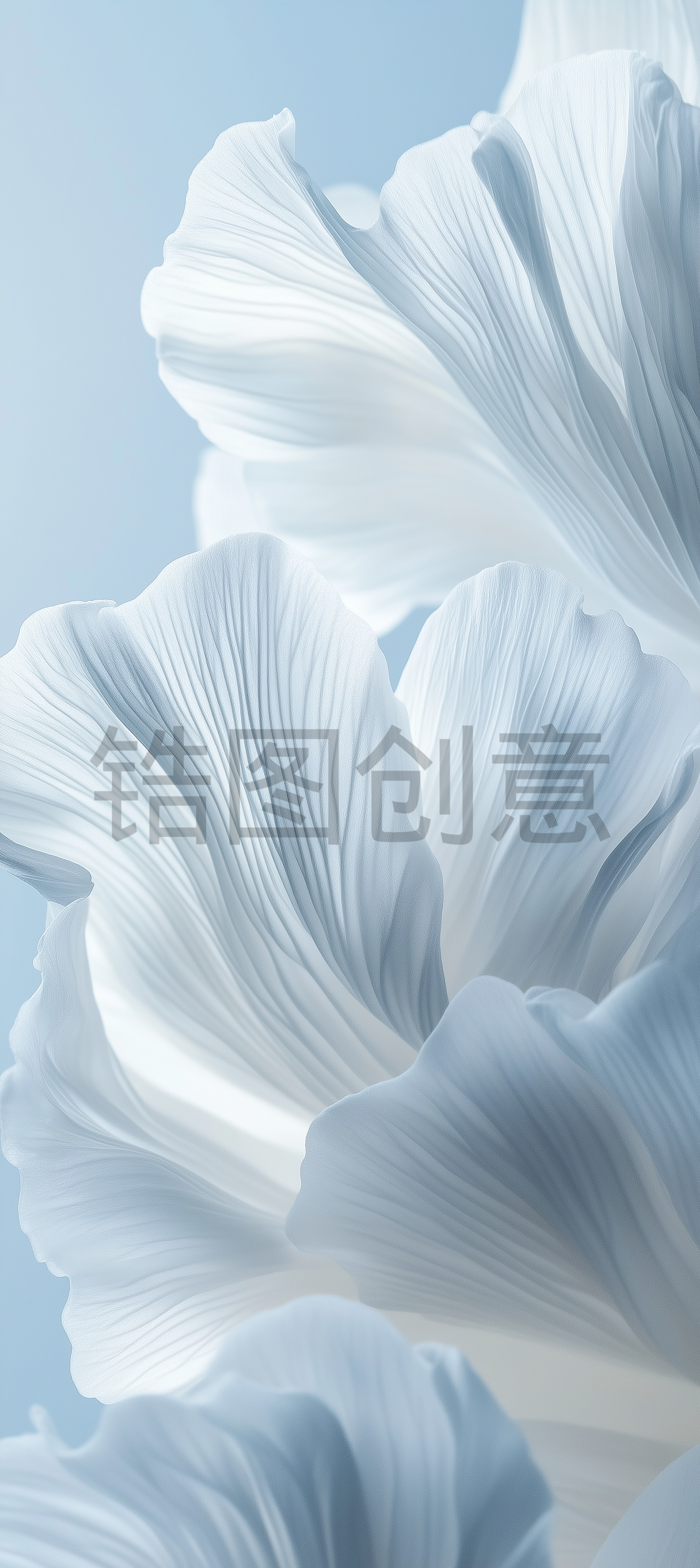 近距离抽象花瓣状浅蓝色背景