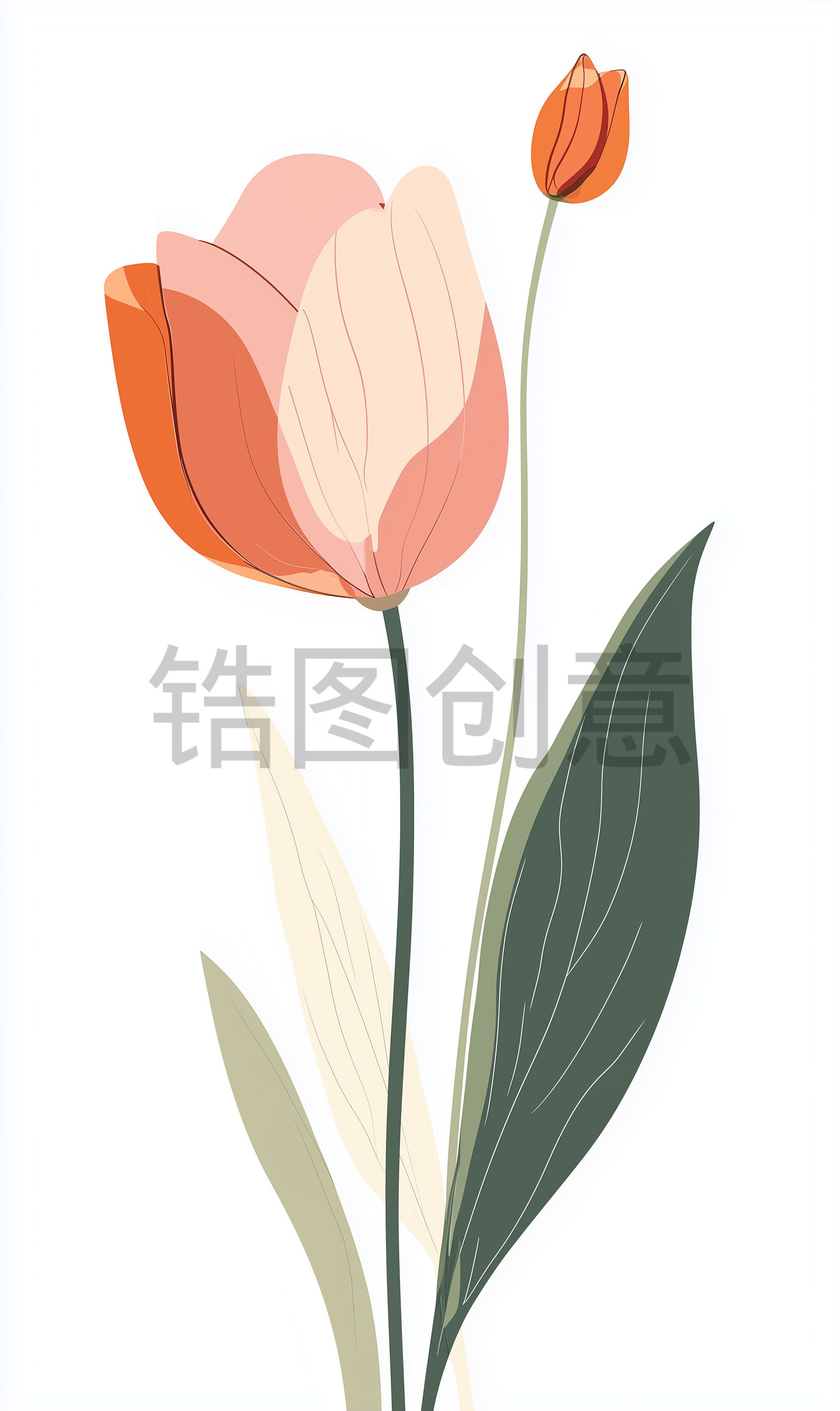 粉色郁金香花插图元素背景