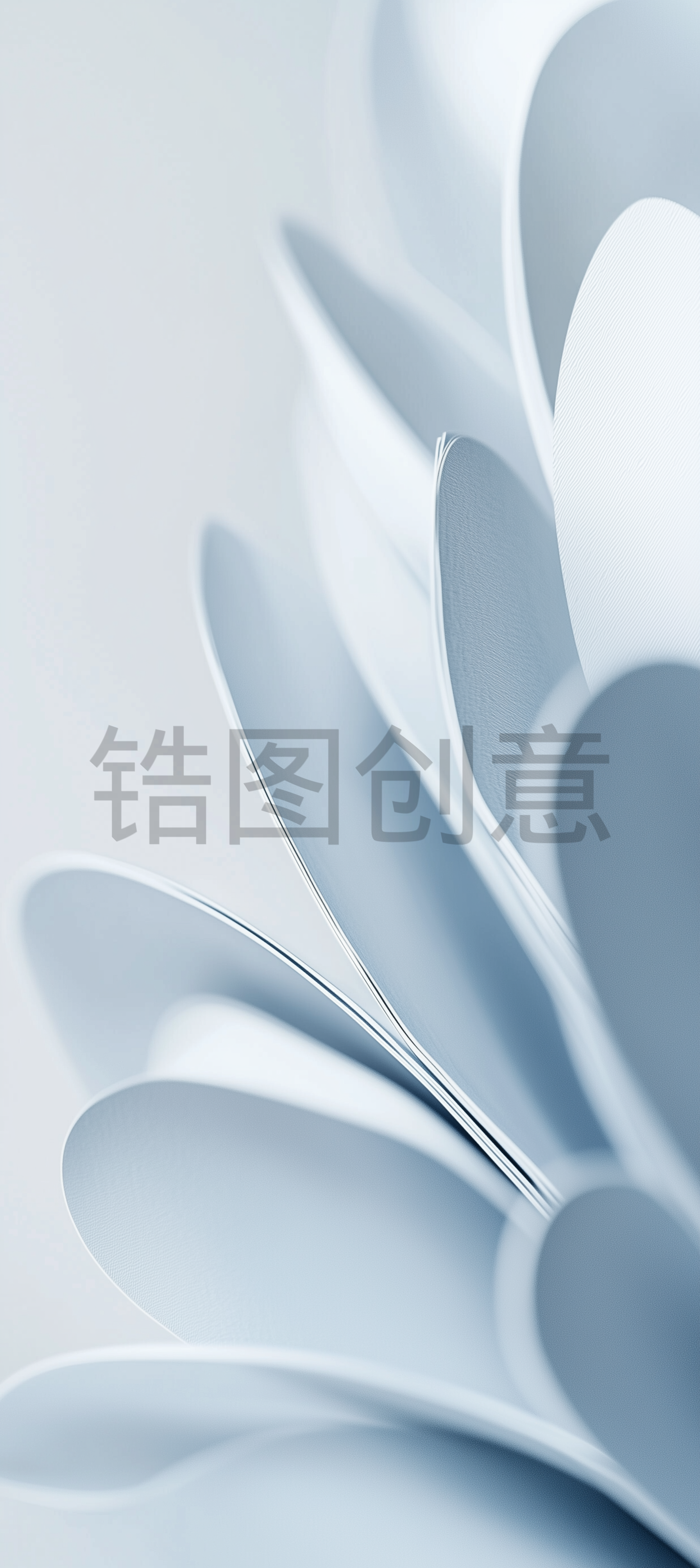 近距离拍摄花瓣状淡蓝色背景