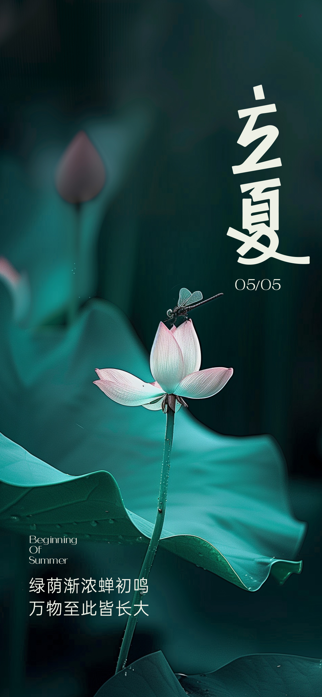 立夏夏至大暑处暑实景海报