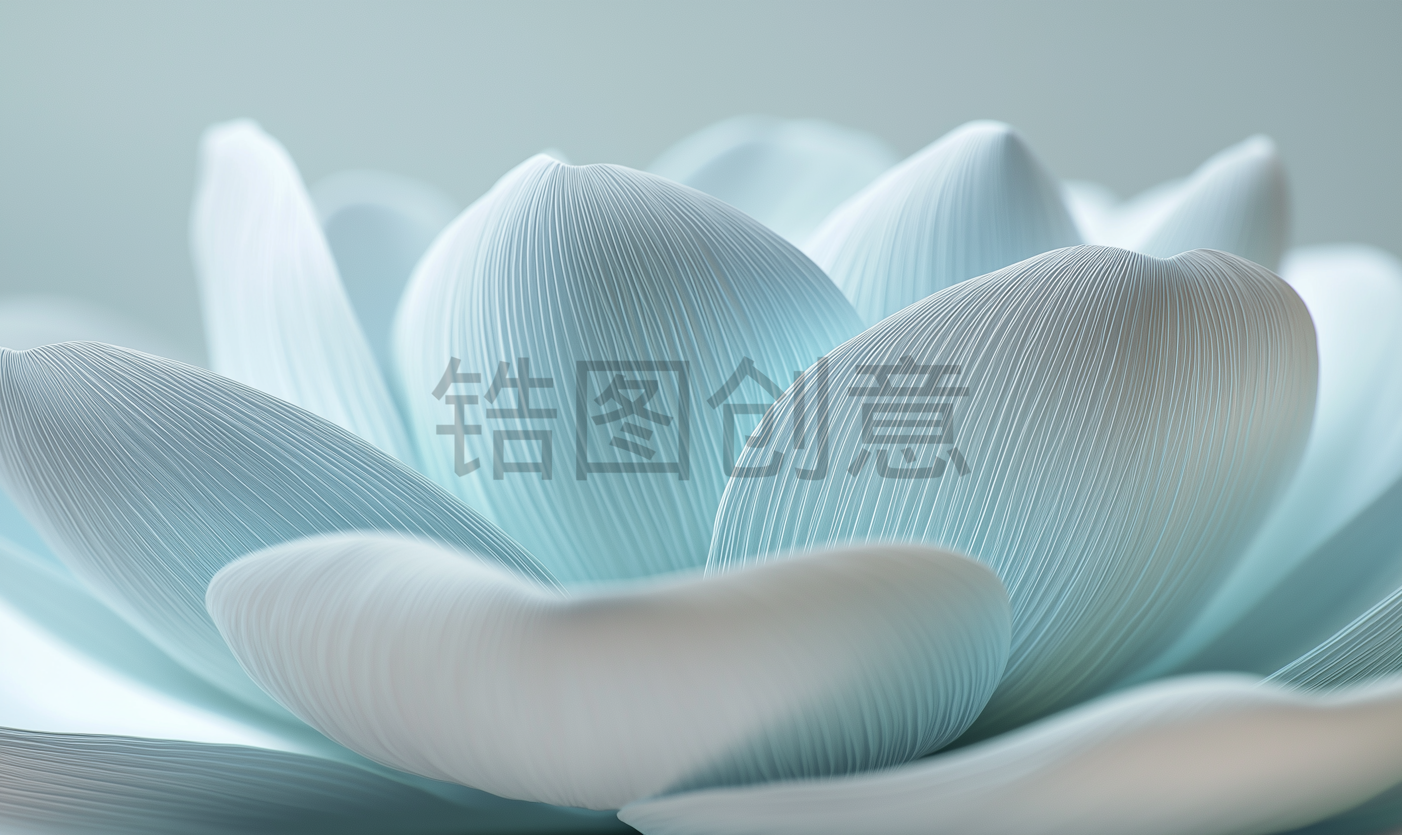 近距离拍摄由白纸材料制成的大型花瓣状结构，低角度拍摄，以cinema4D风格呈现，淡蓝色和灰色调背景