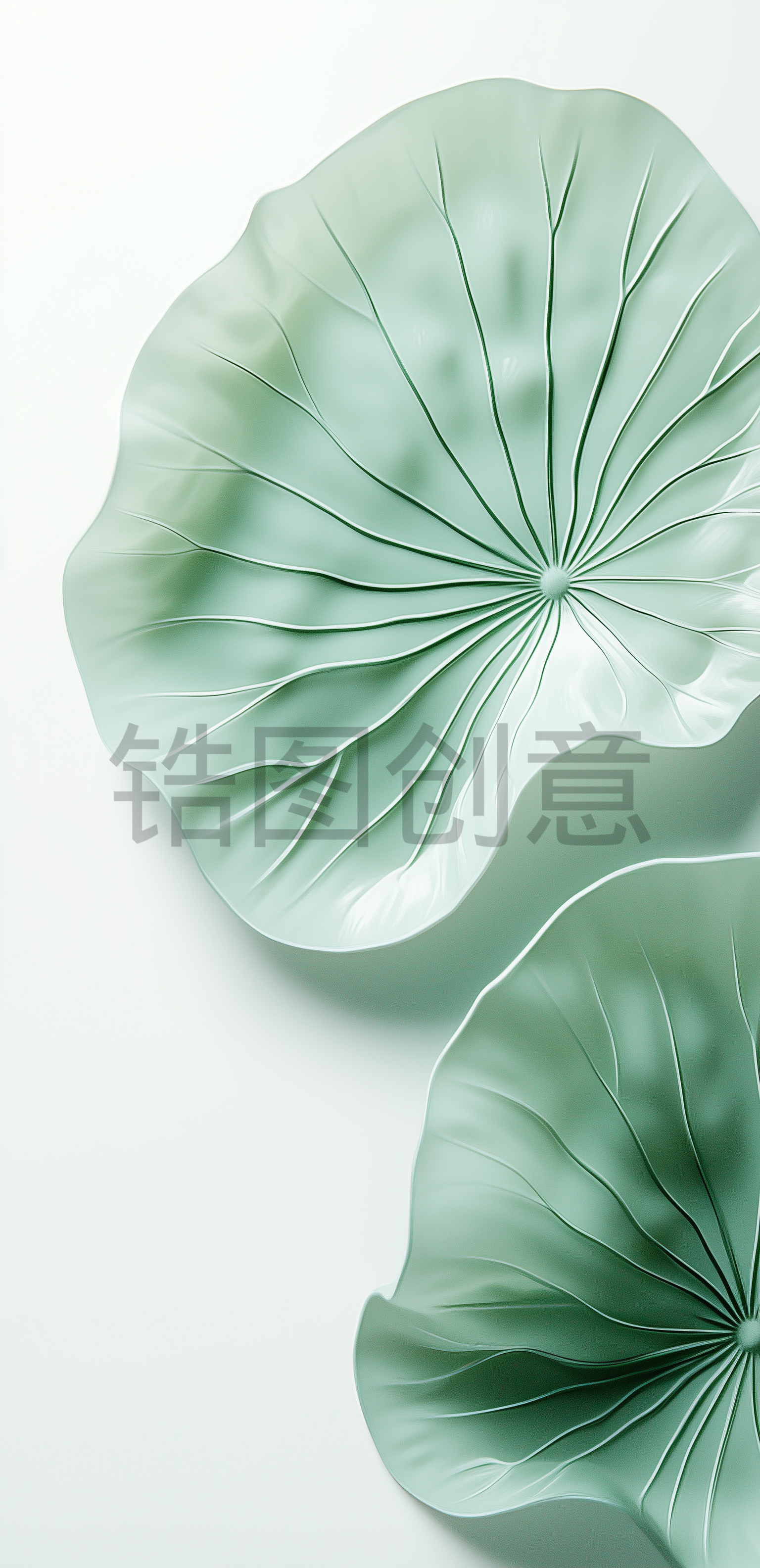 夏日中国风系列荷叶通透感写实叶脉通用背景素材