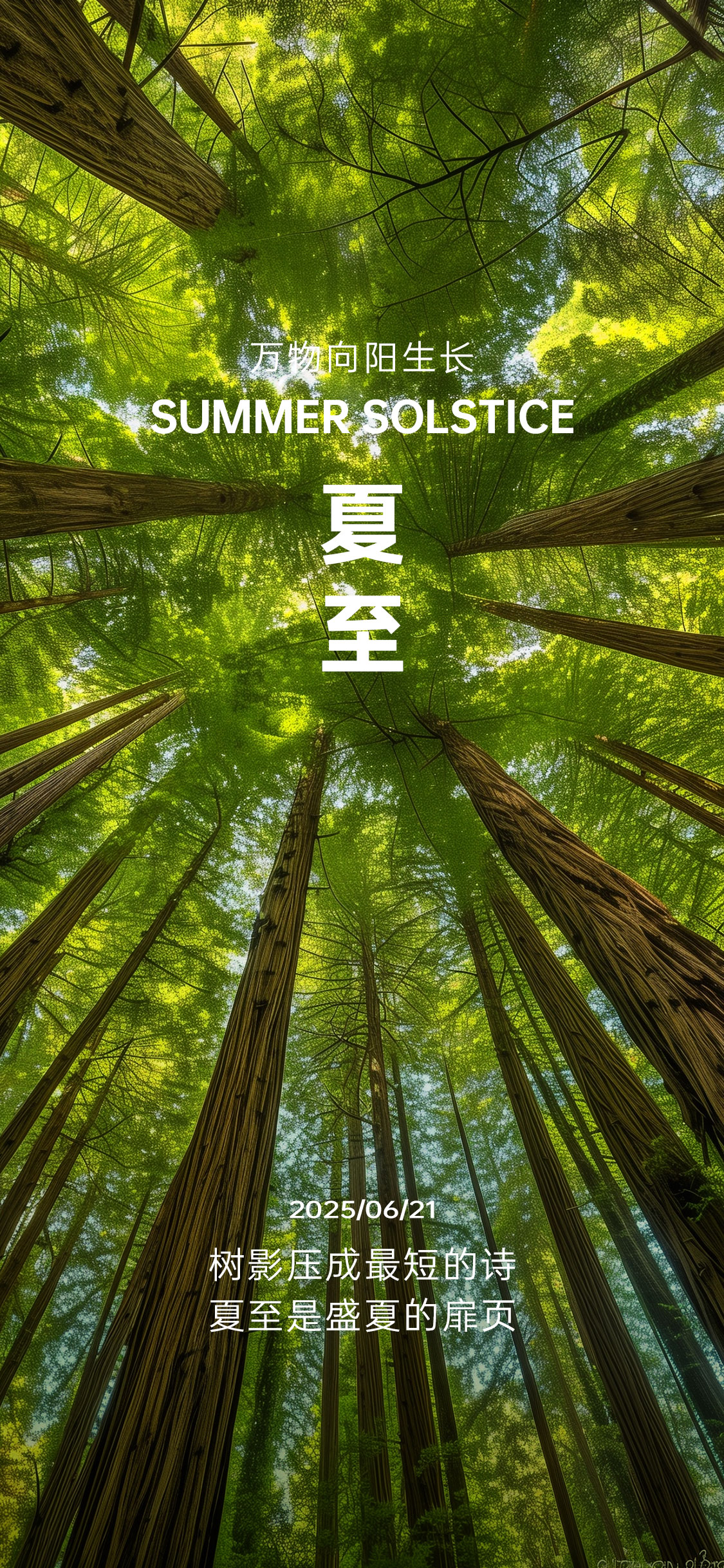 立夏夏至夏季节气海报