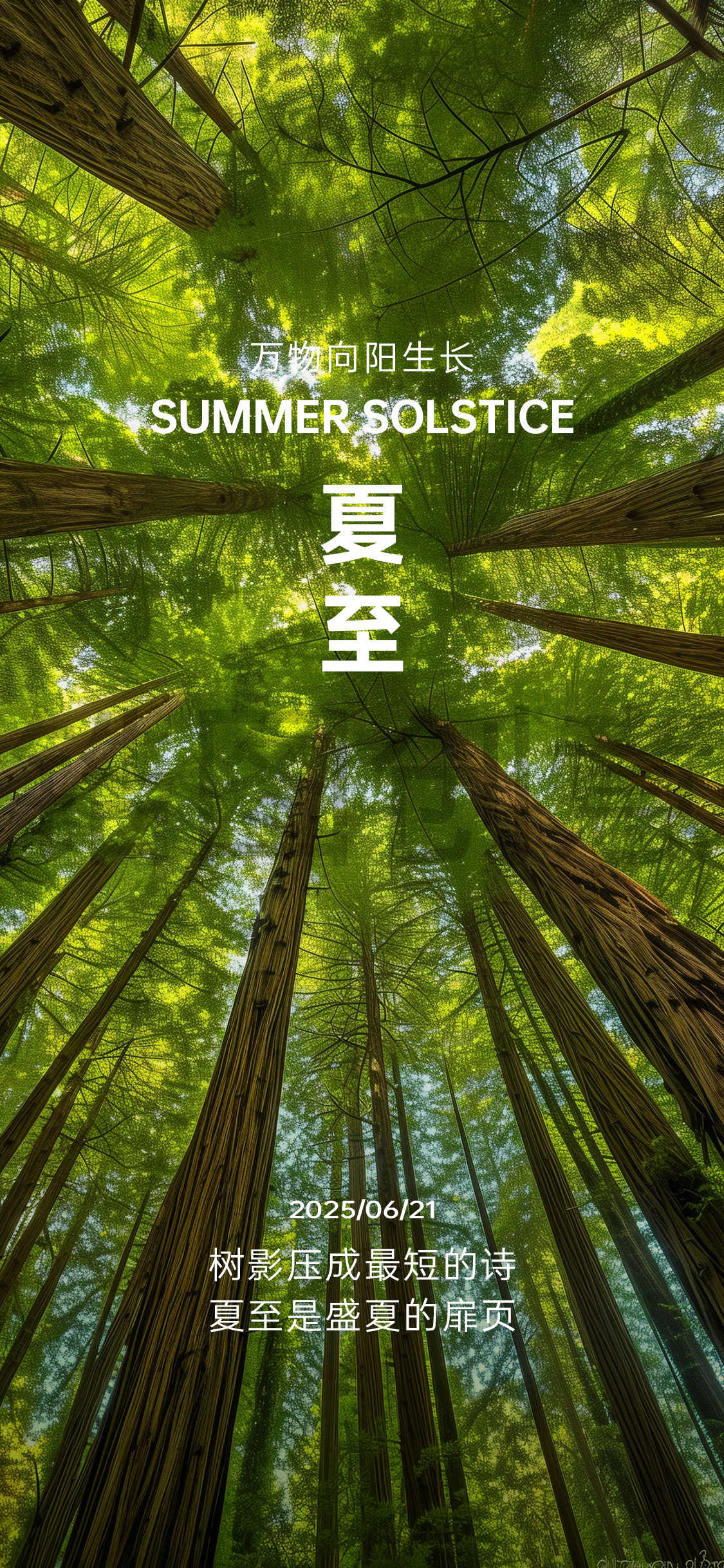 立夏夏至夏季节气海报