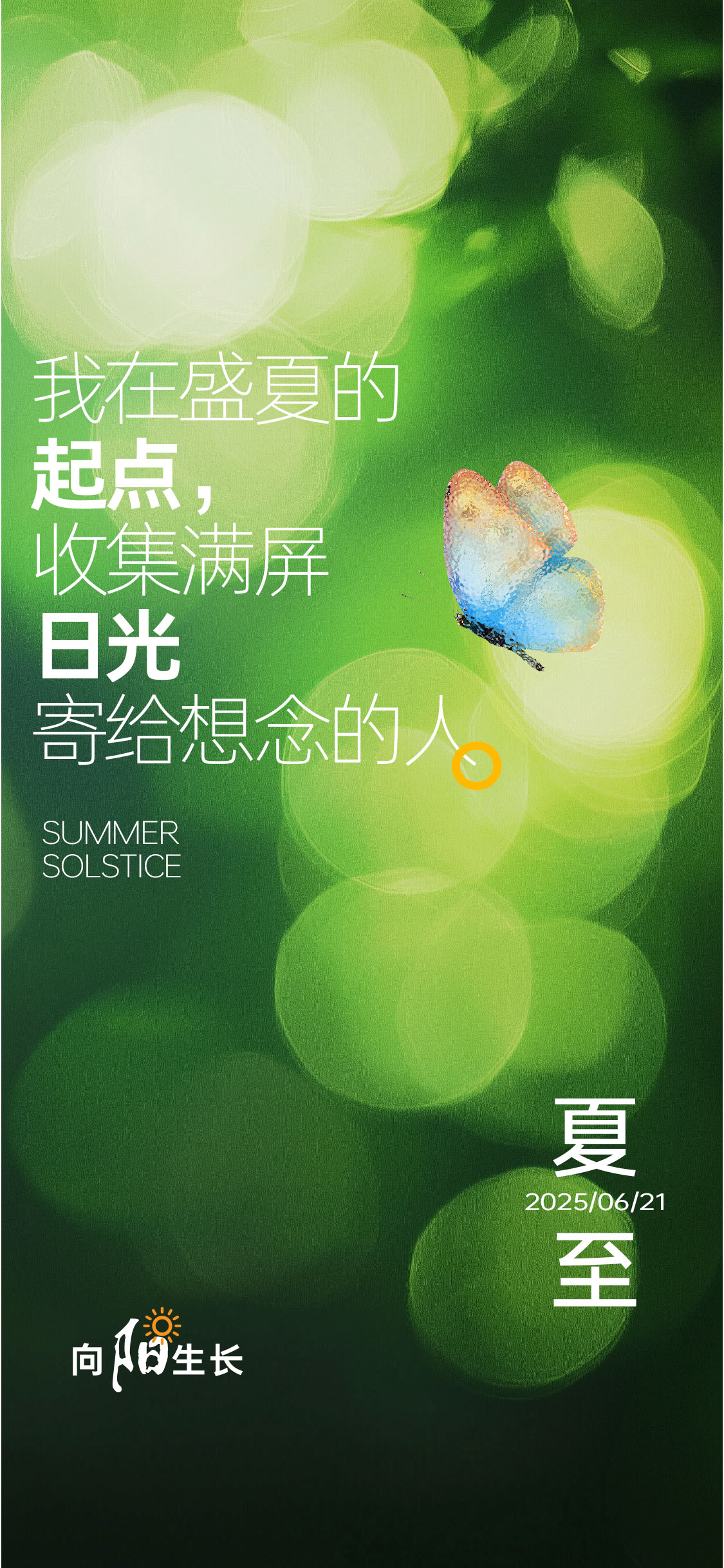 夏天夏至节气海报