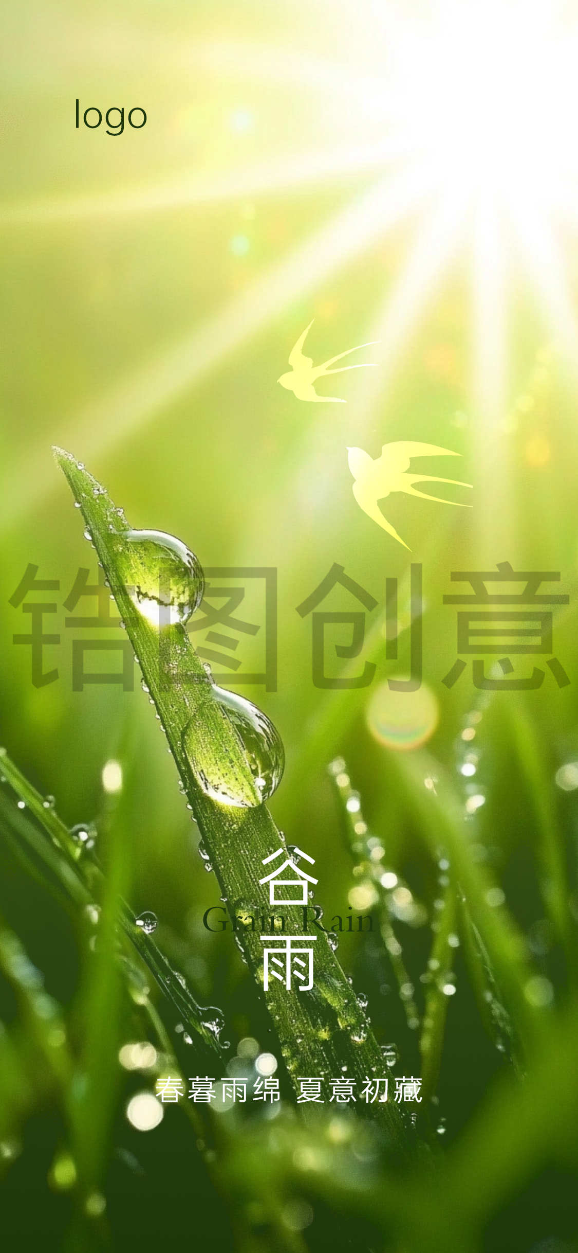 谷雨雨水写实节气