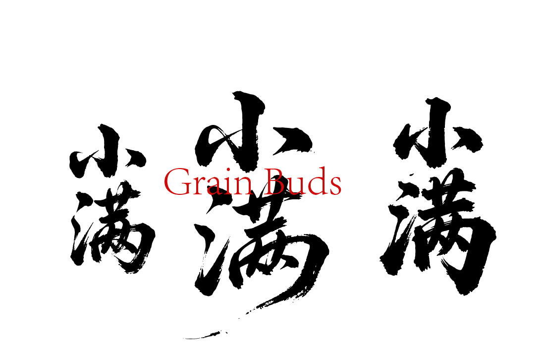 二十四节气之小满书法毛笔字字体