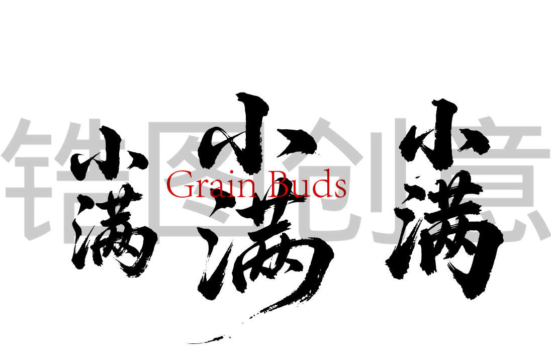 二十四节气之小满书法毛笔字字体