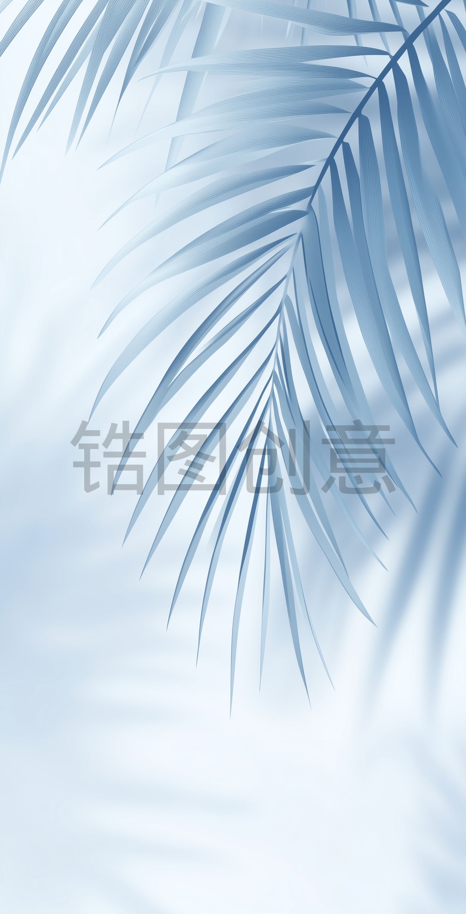 太阳投下棕榈叶阴影的白色墙壁极简背景