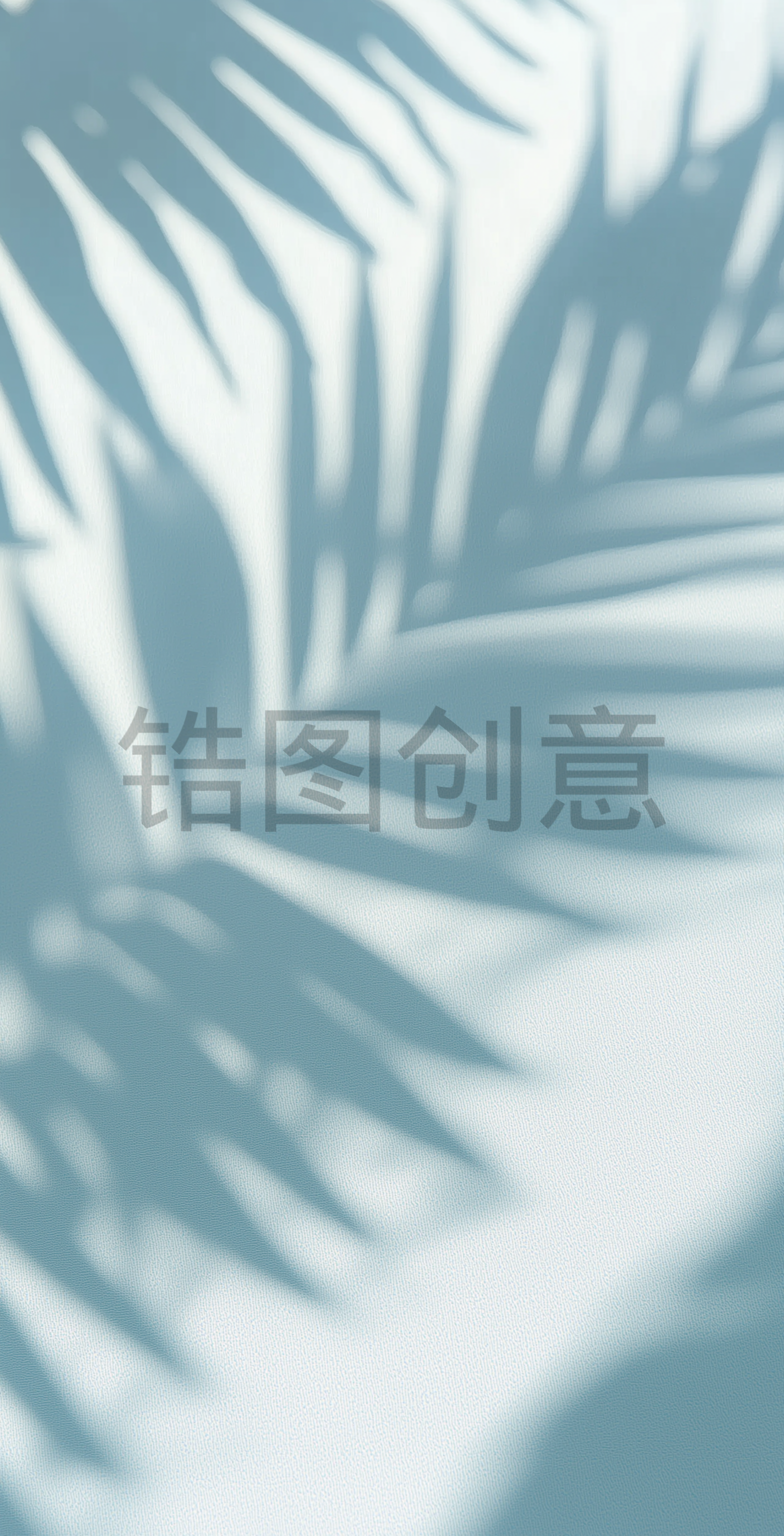 蓝色的墙上棕榈叶柔软模糊的阴影的特写