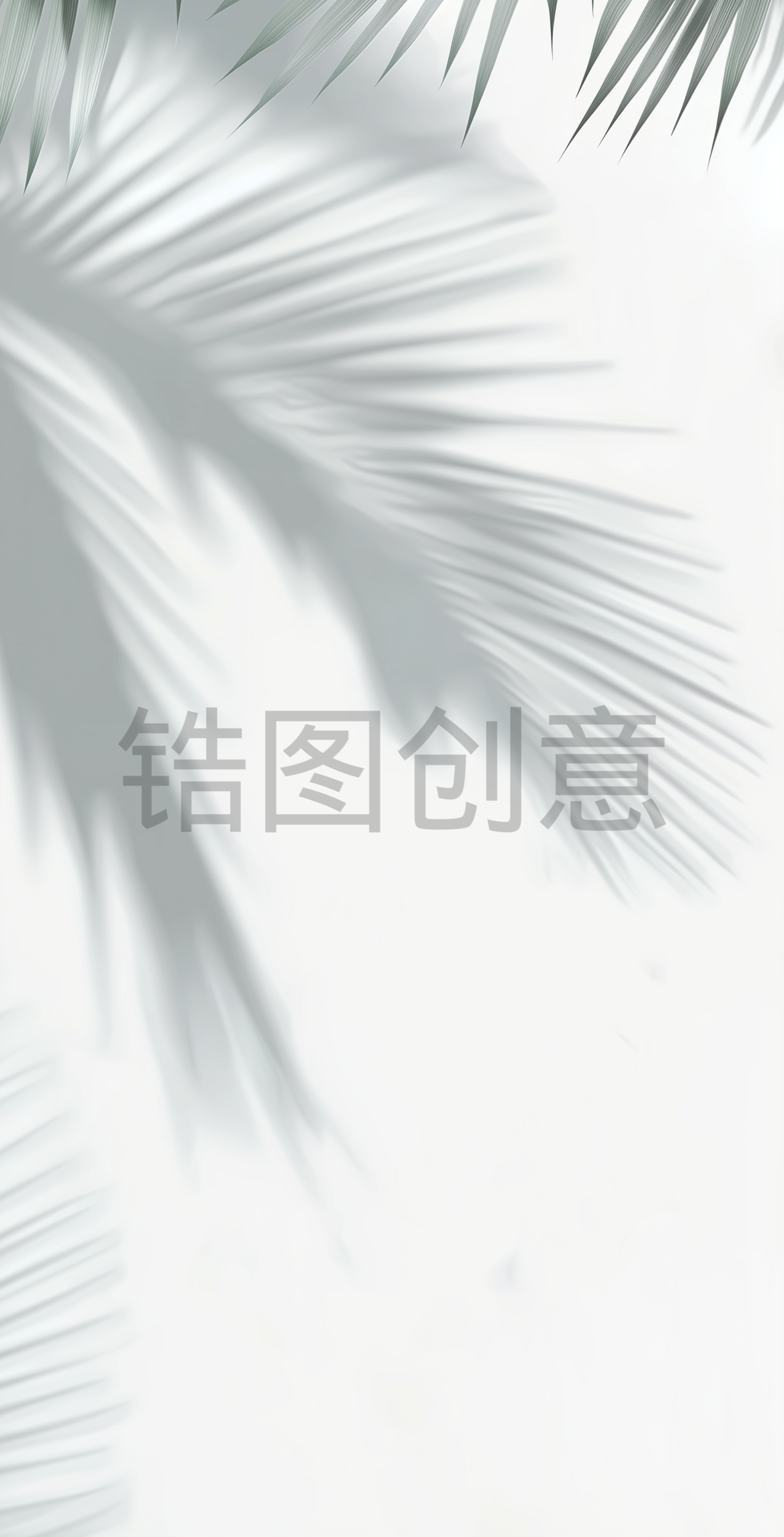 有太阳投下棕榈叶阴影的白色墙壁极简背景