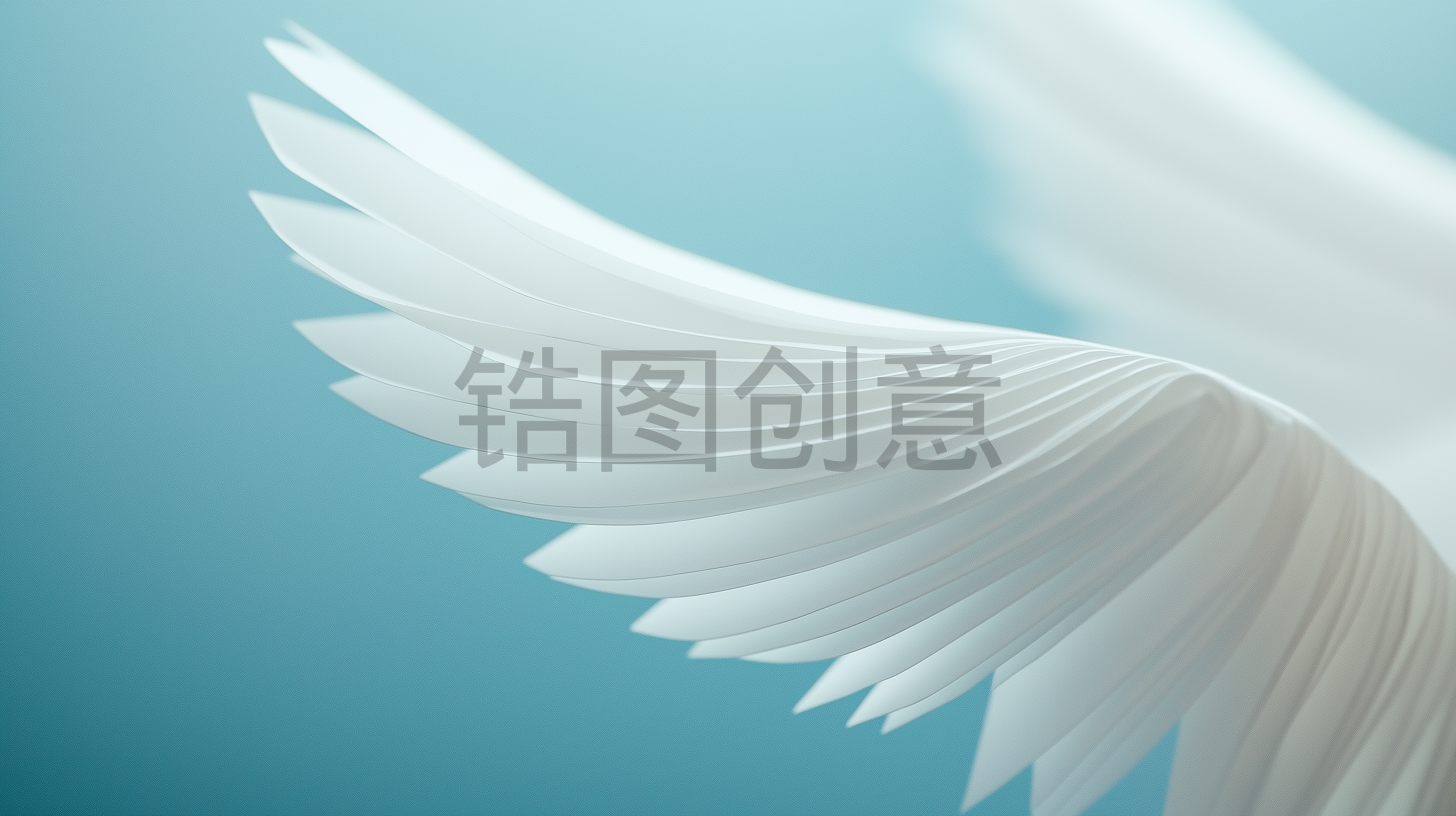 飞翔翅膀轮廓抽象形状背景