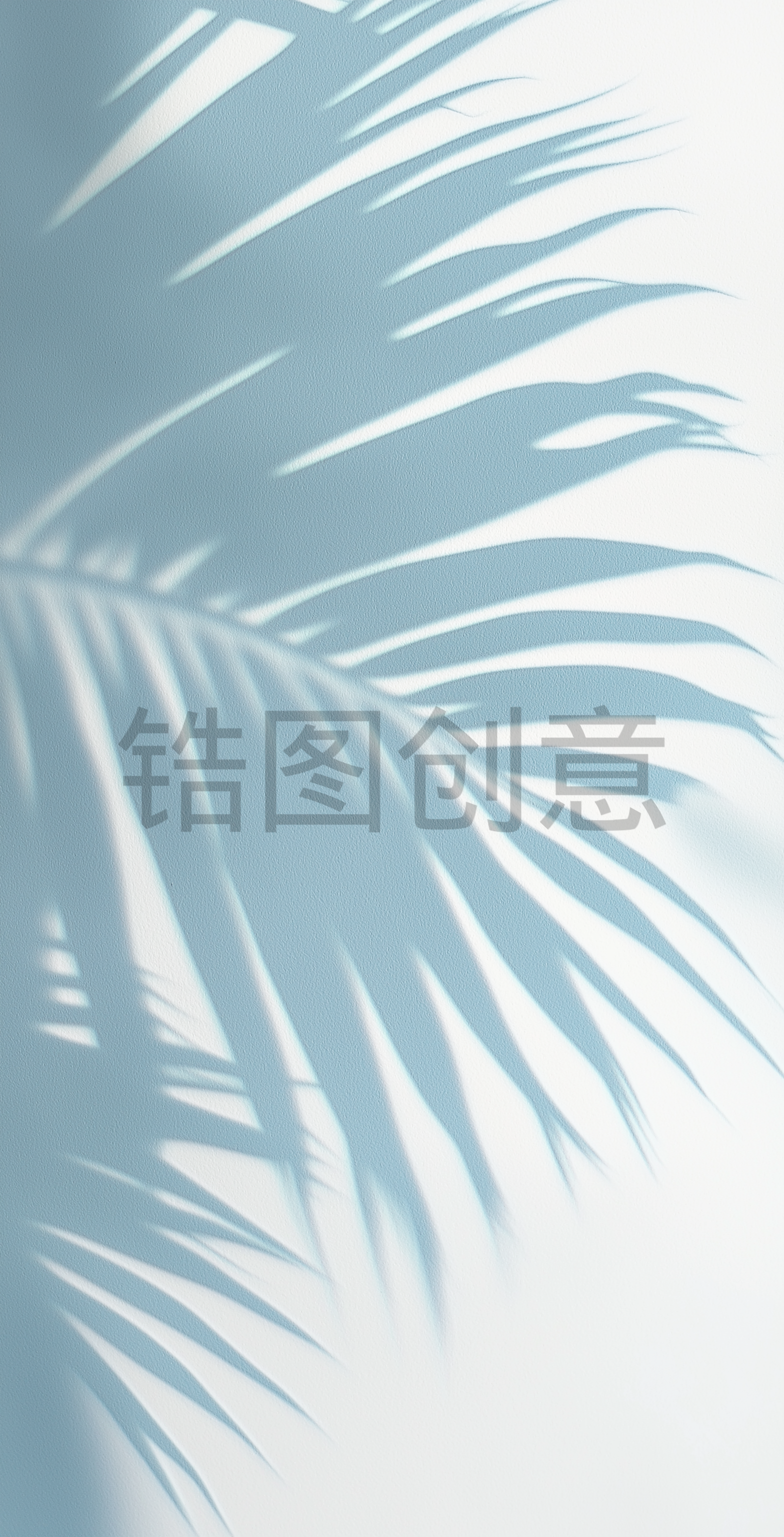浅蓝色的墙上棕榈叶柔软模糊的阴影的特写