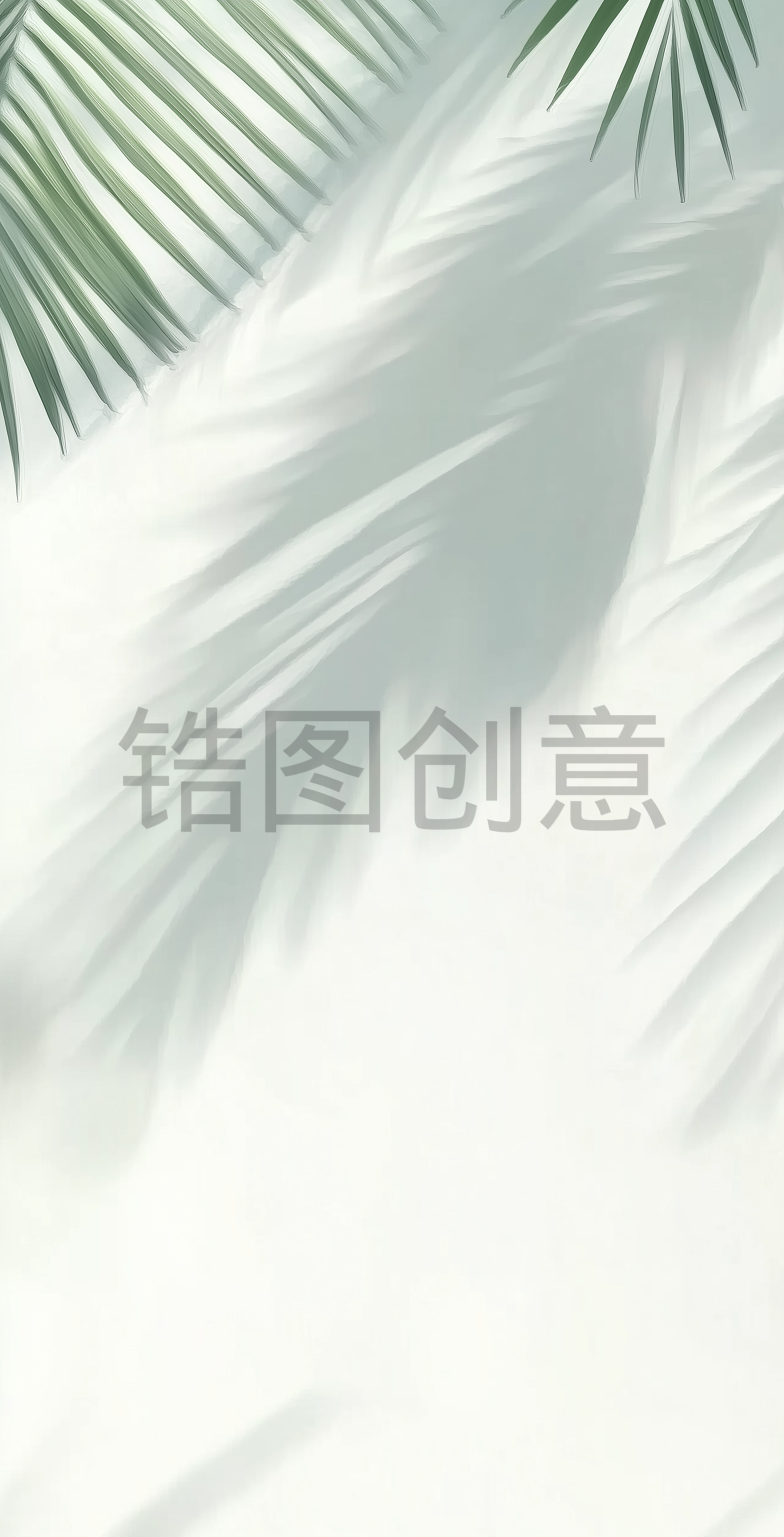太阳投下棕榈叶阴影的白色墙壁极简背景