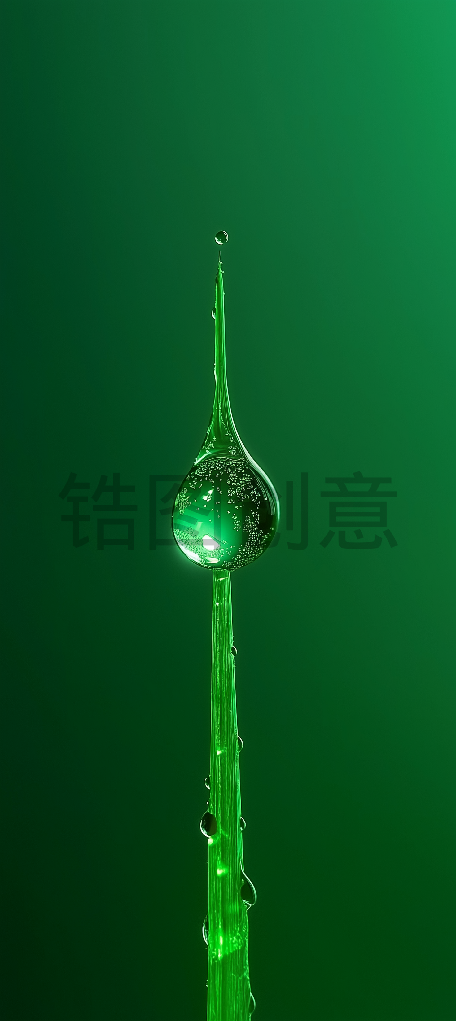 稻叶子上水滴雨滴水珠背景