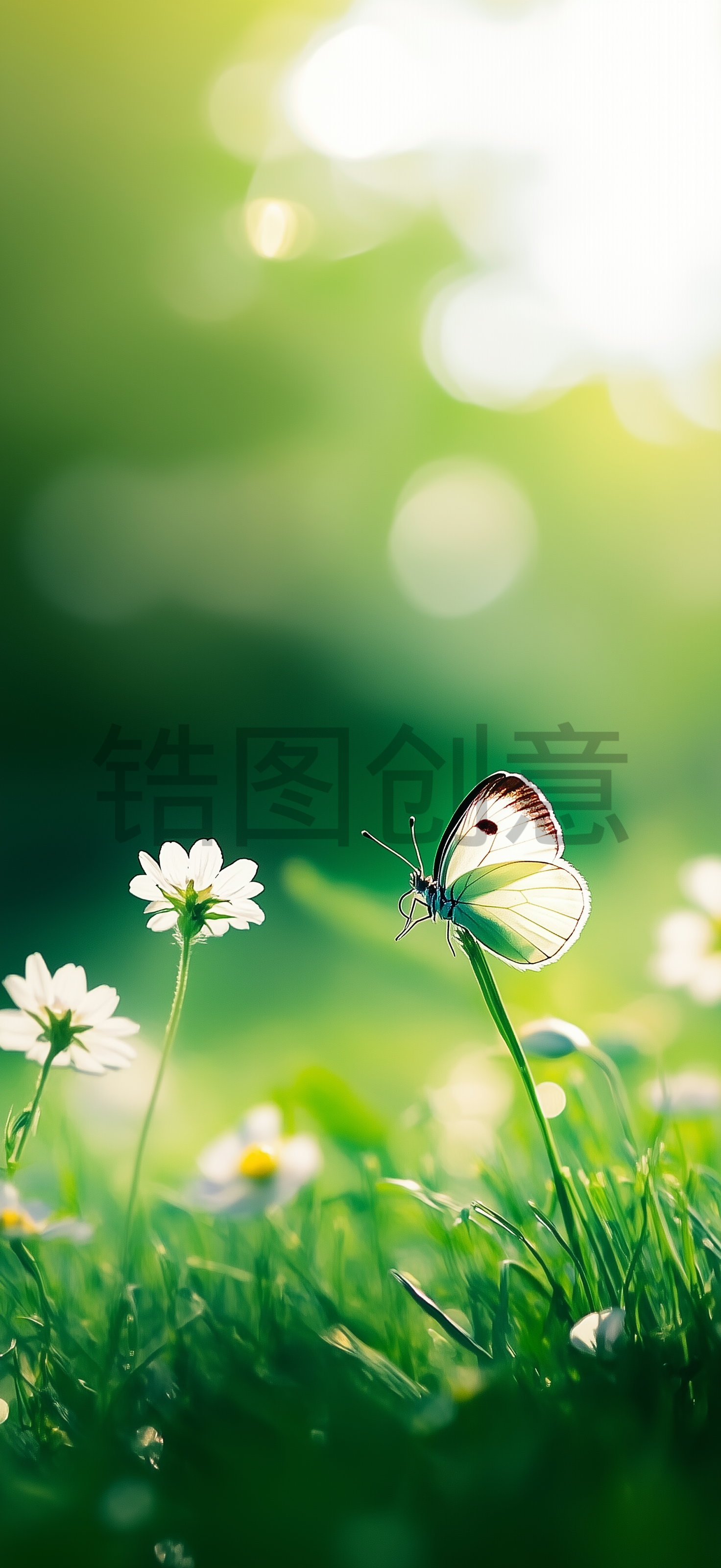 翠绿色叶子花丛草丛上面栖息着一只蝴蝶特写模糊的背景