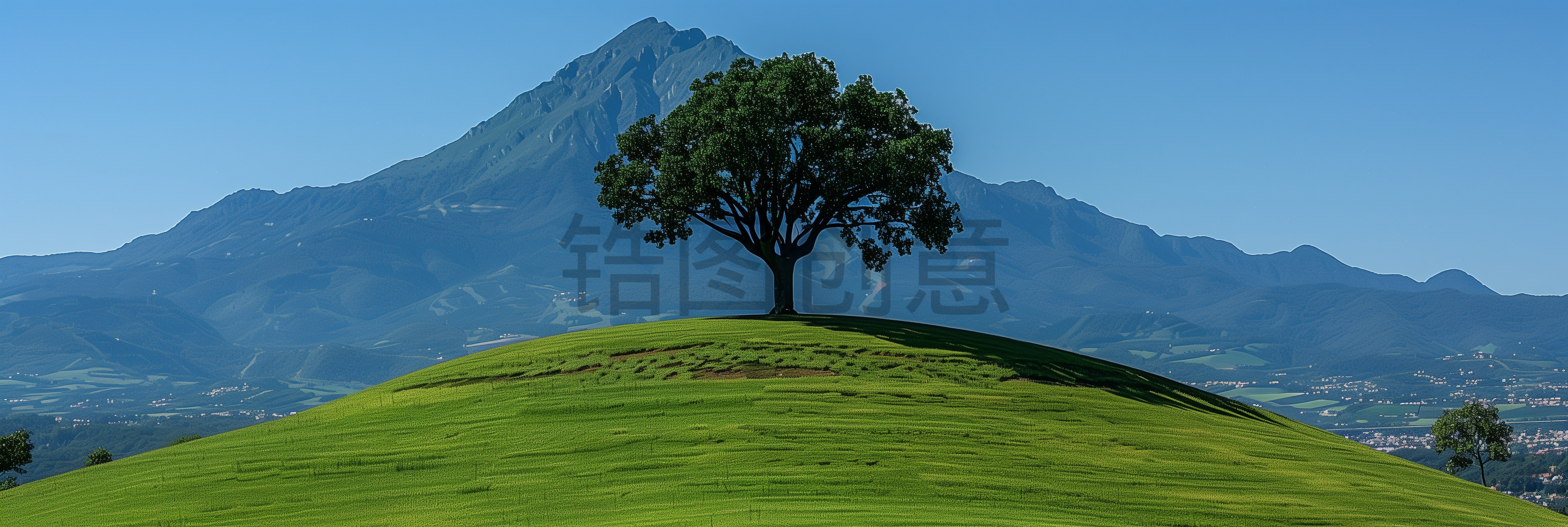 锆图创意-自然风光系列肌理空旷草地大树背景