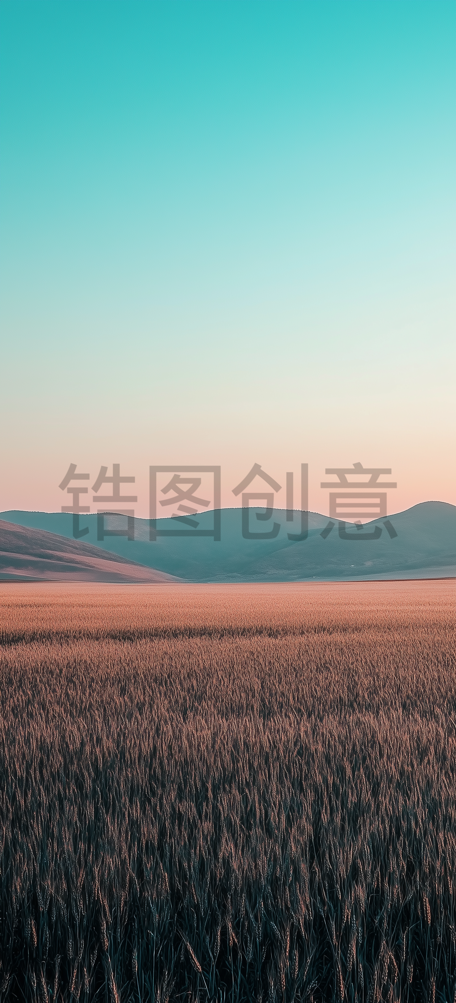 黄色的麦田风景辽阔秋天场景