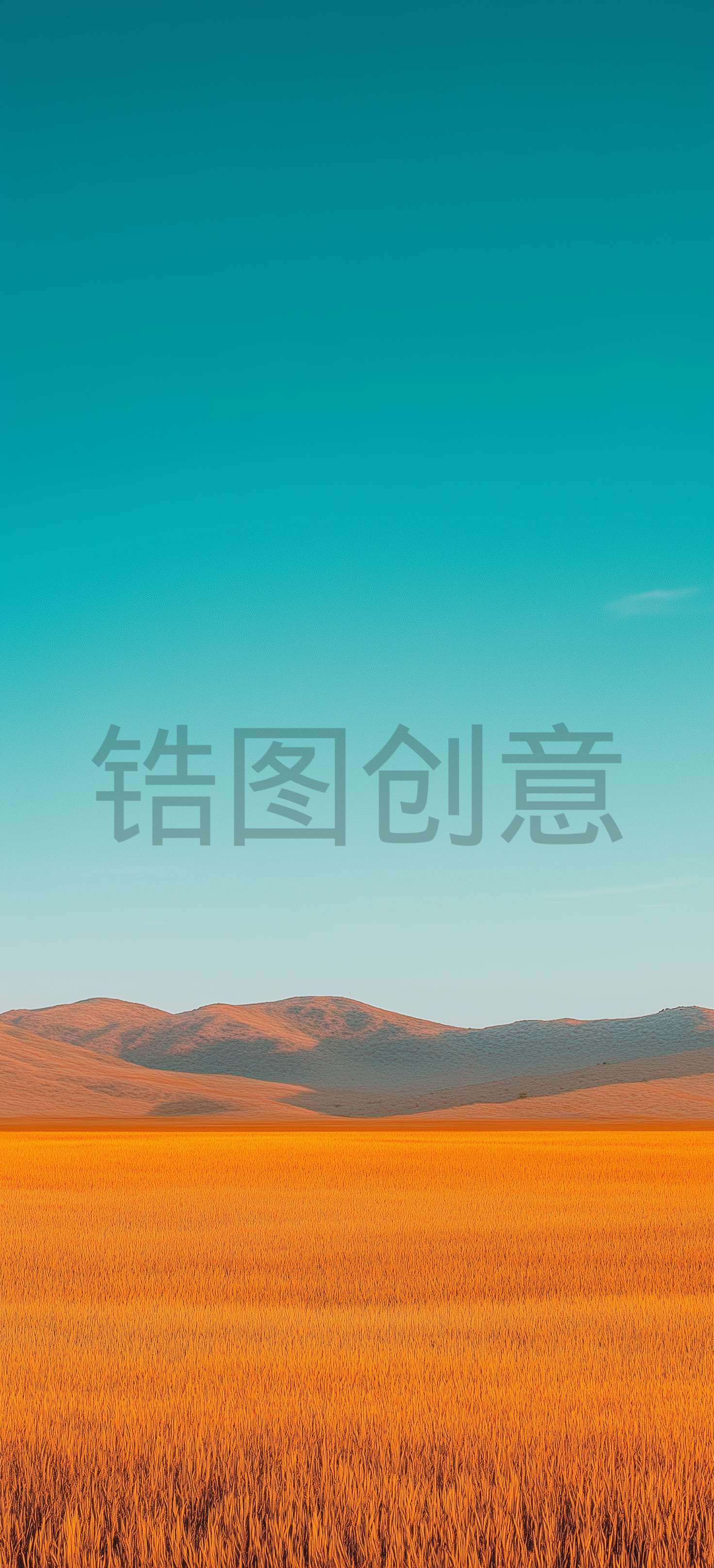 金黄的麦田风景辽阔秋天秋日场景