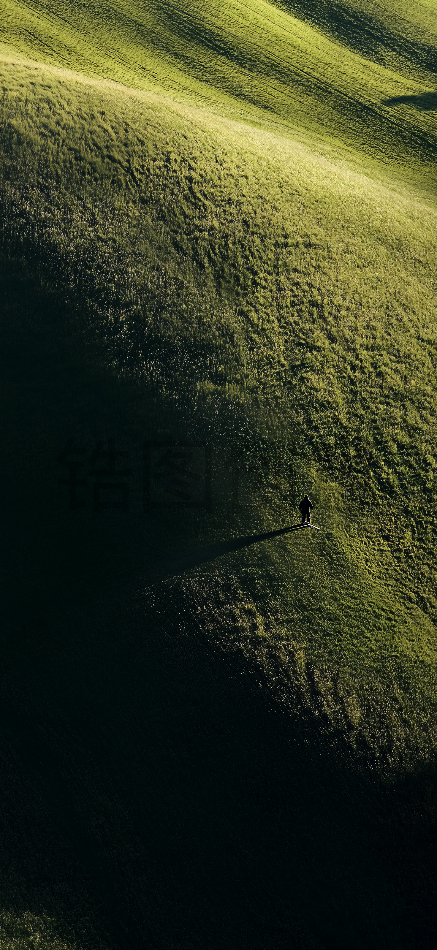 锆图创意-航拍连绵起伏的绿色山野，俯视，自然，生态