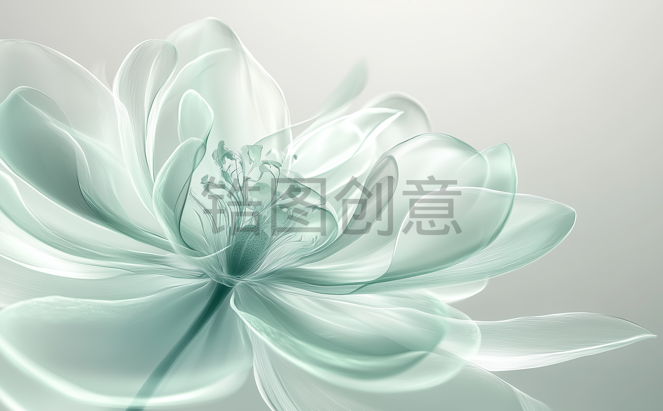 锆图创意-浅绿色透明花瓣花朵特写