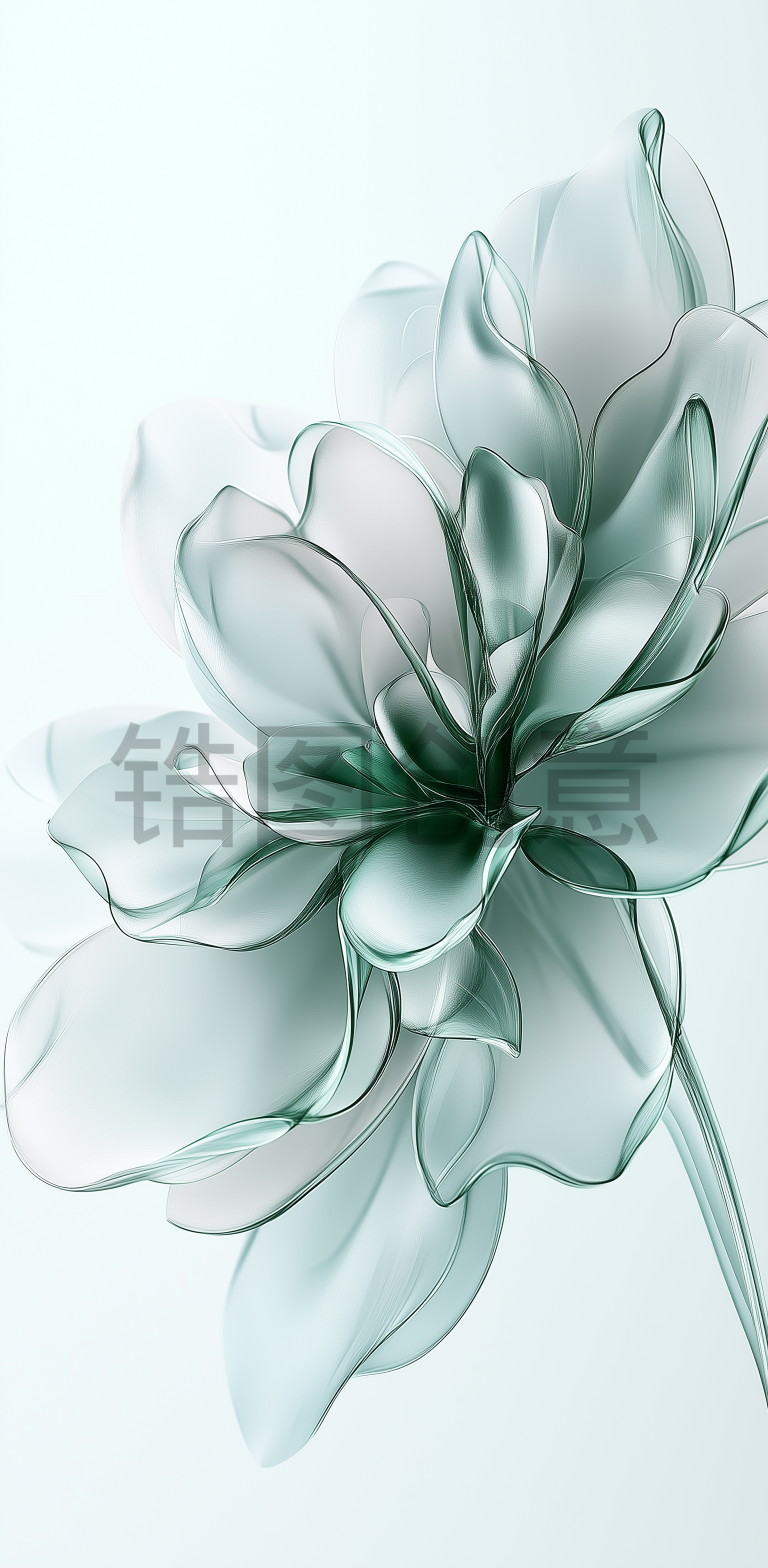 锆图创意-浅绿色透明花瓣花朵特写