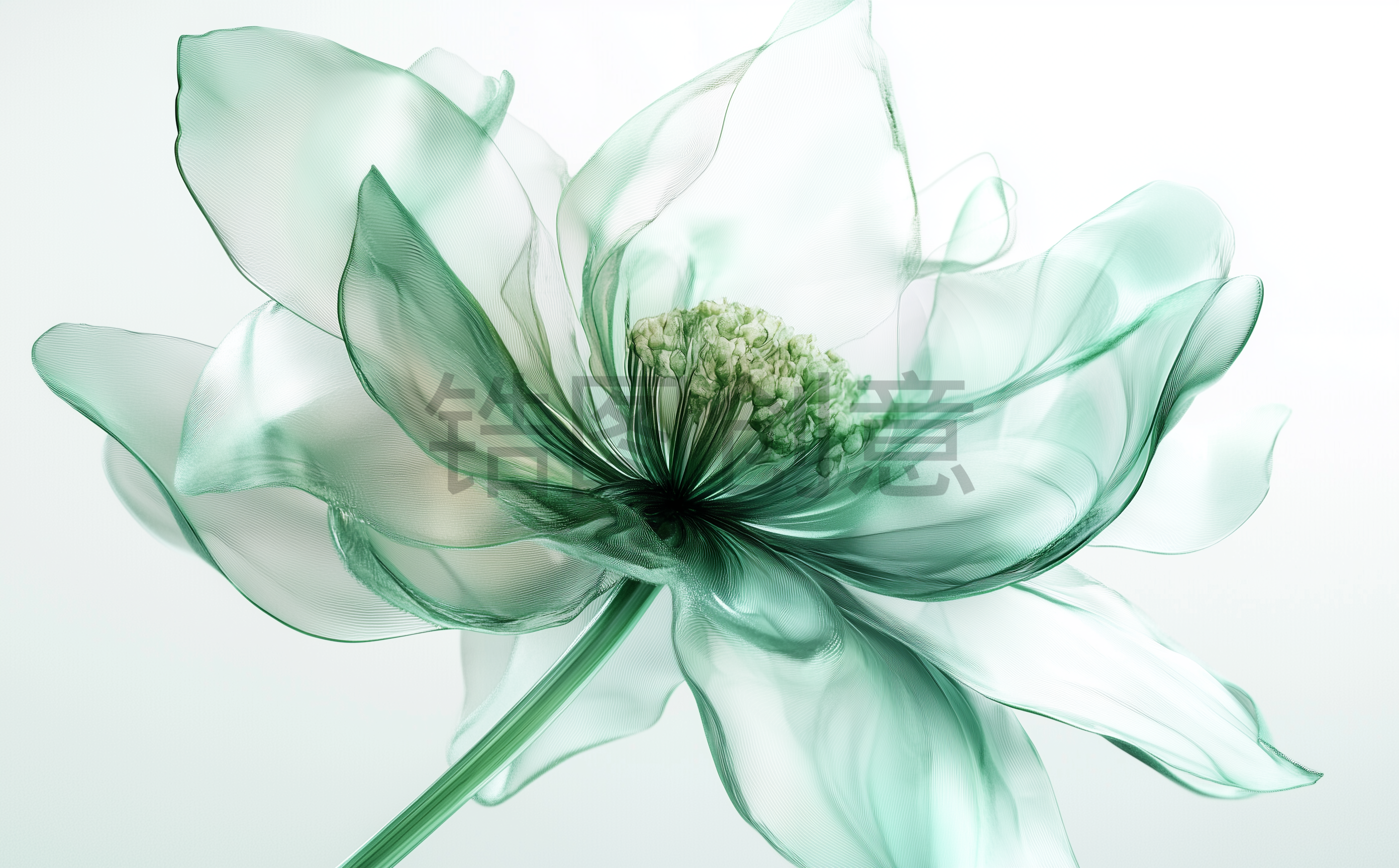 锆图创意-浅绿色3d透明花瓣花朵特写