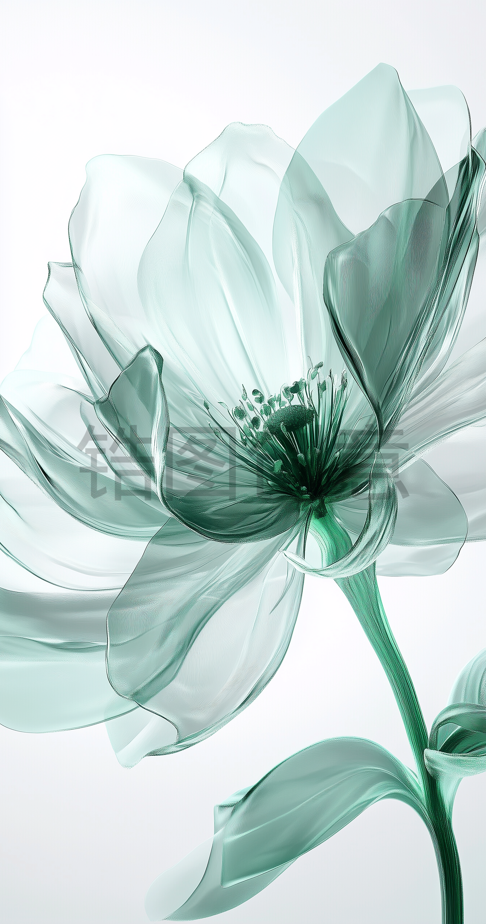 锆图创意-浅绿色3d透明花瓣花朵特写