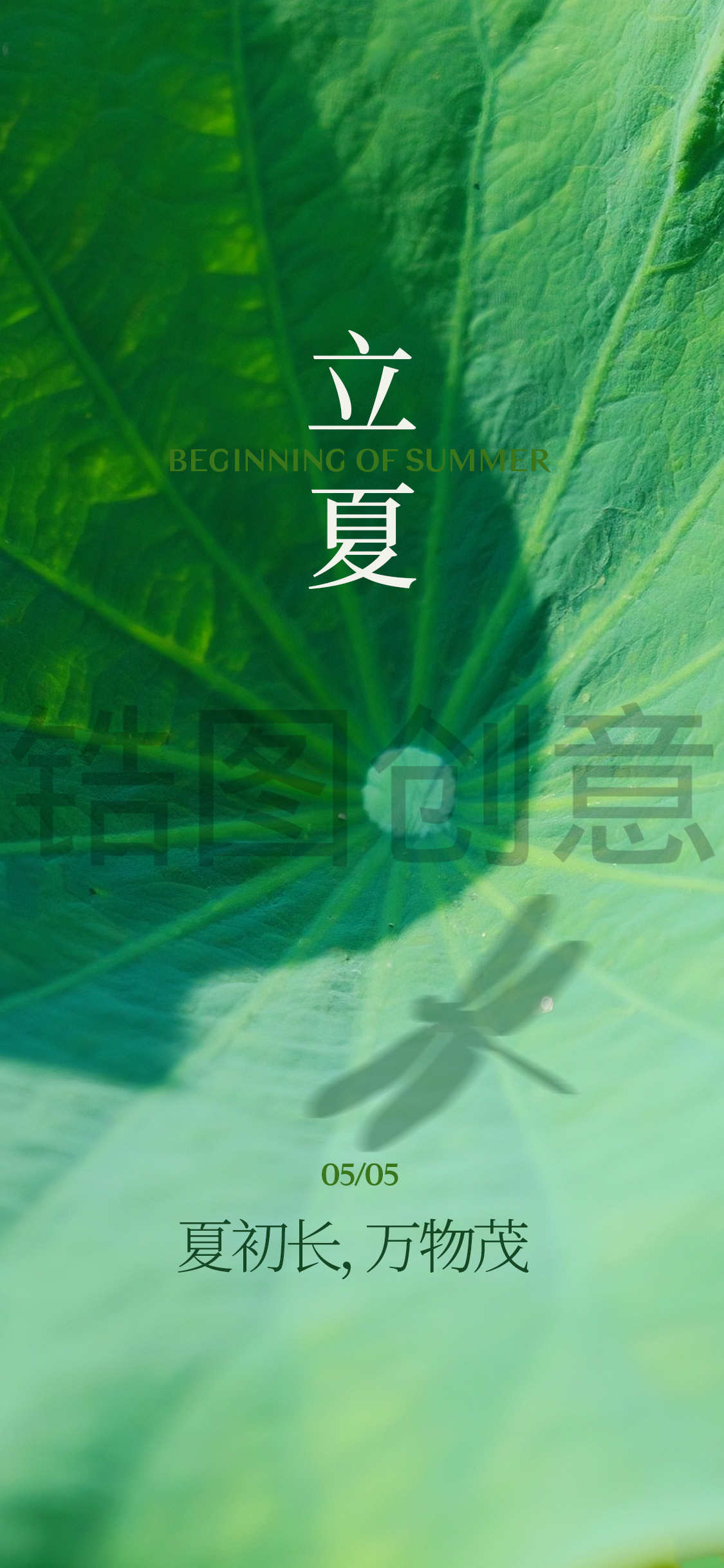 二十四节气之立夏夏至节气海报