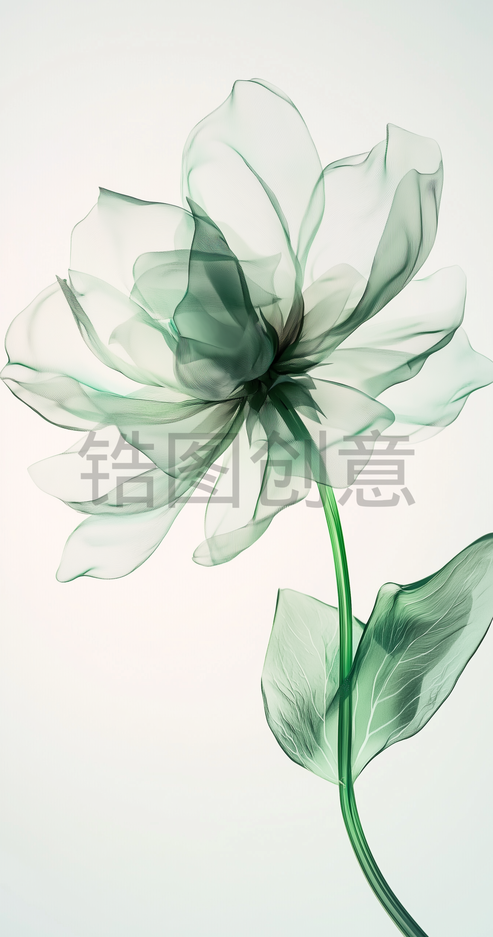 锆图创意-浅绿色3d透明花瓣花朵特写