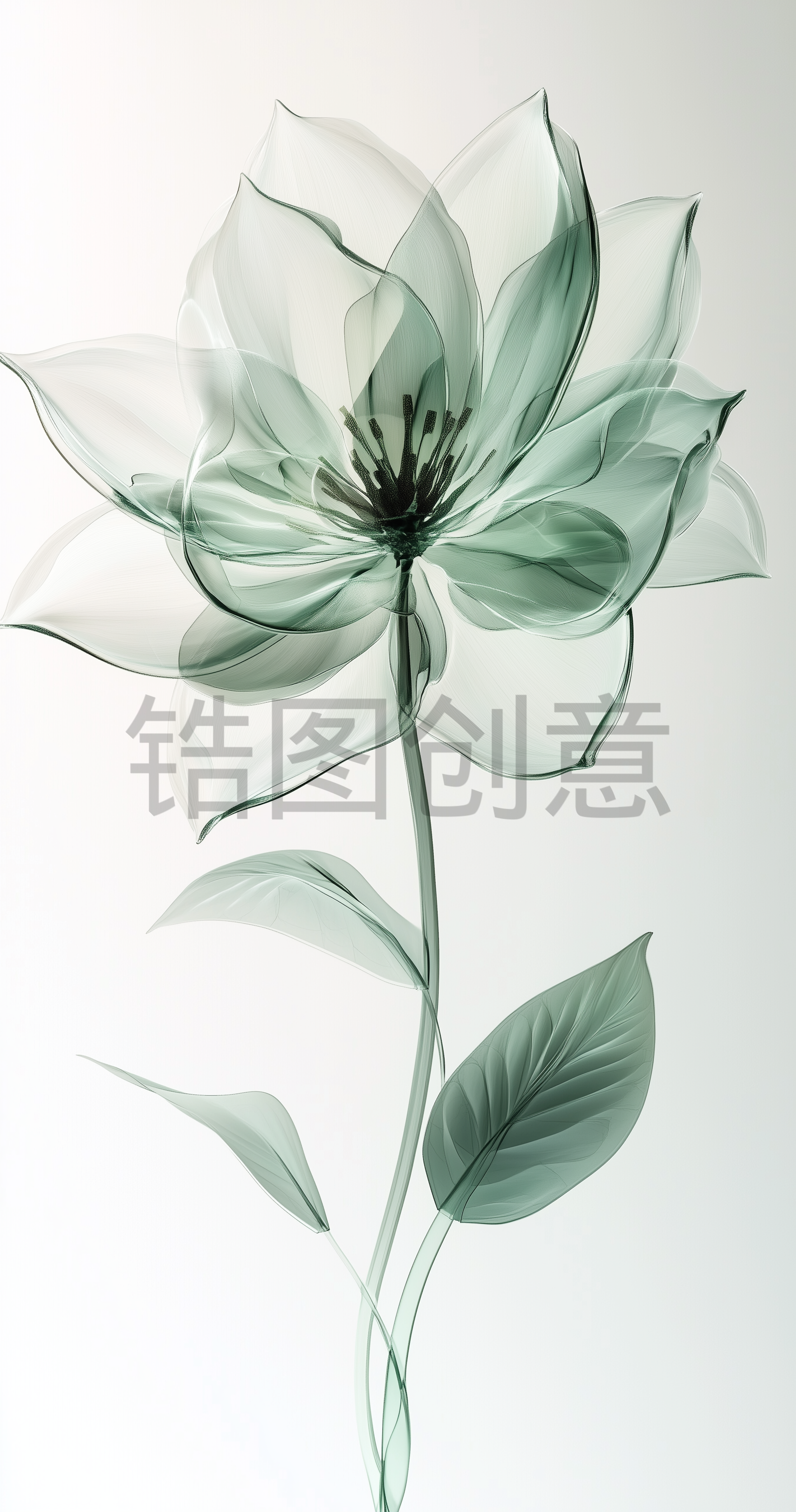 锆图创意-浅绿色3d透明花瓣花朵特写