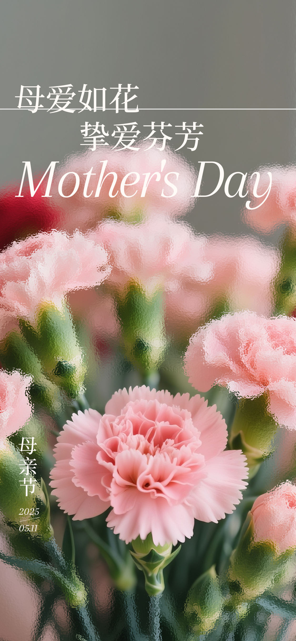 母亲节节日康乃馨祝福海报