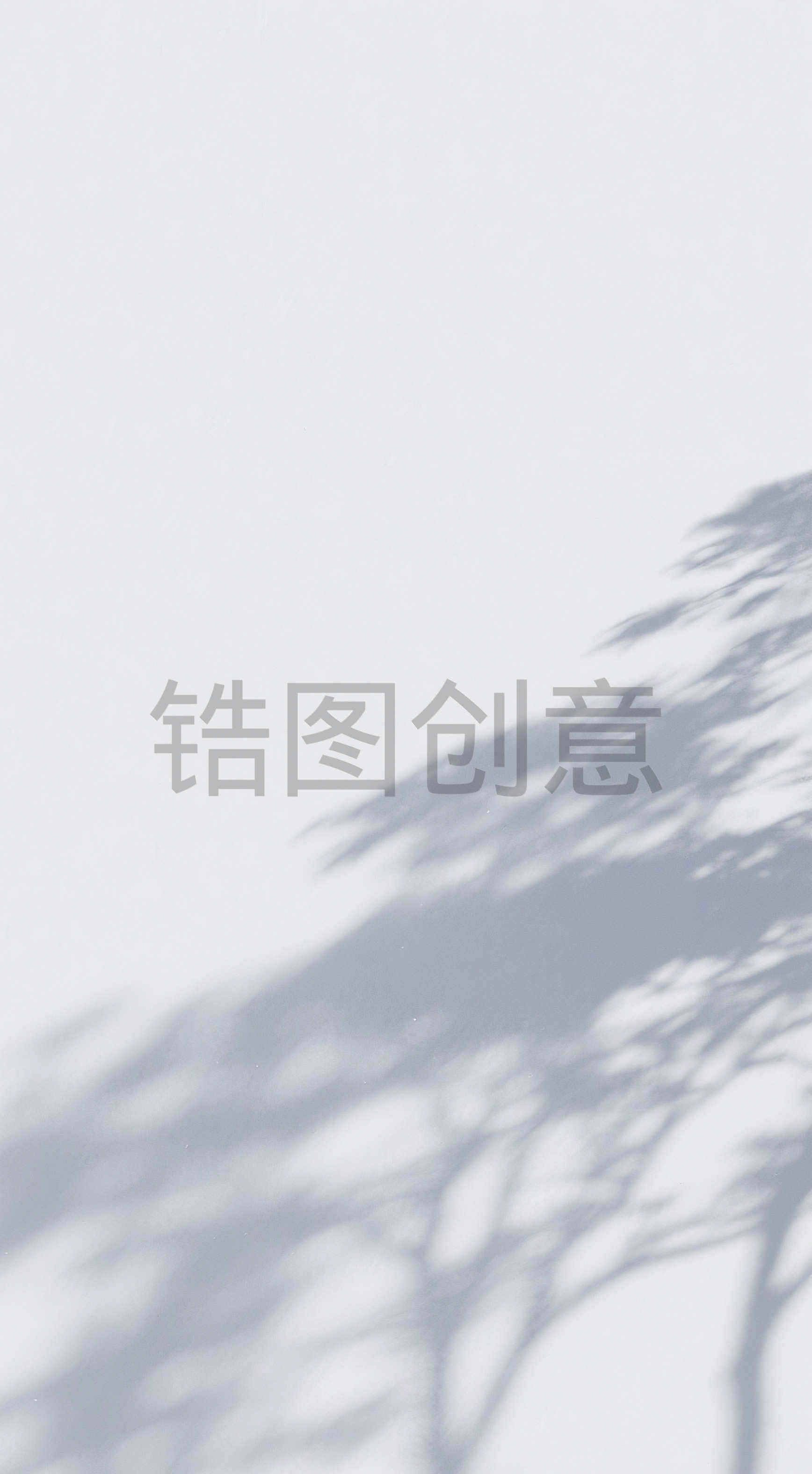 背景通用光影特效黑白植物光影树影图片素材