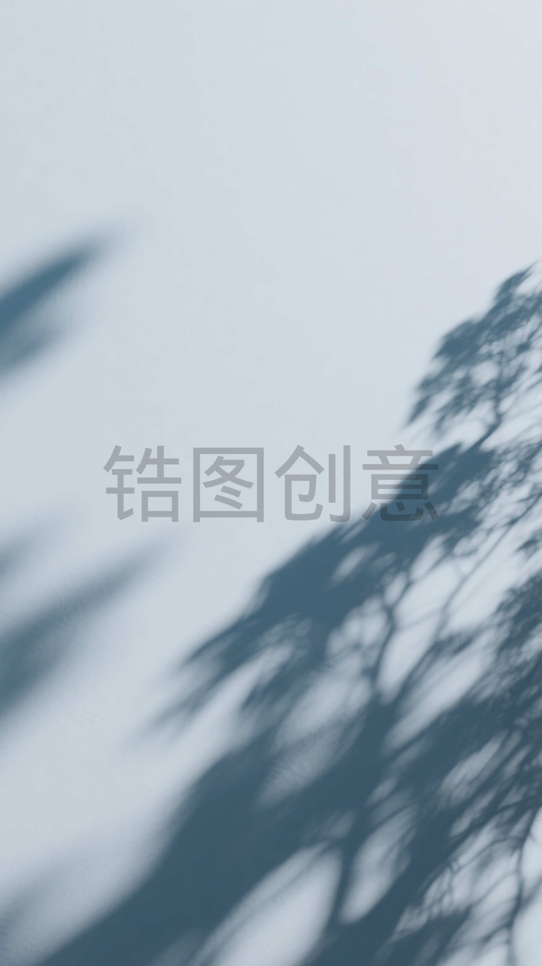 背景通用光影特效植物光影树影图片素材
