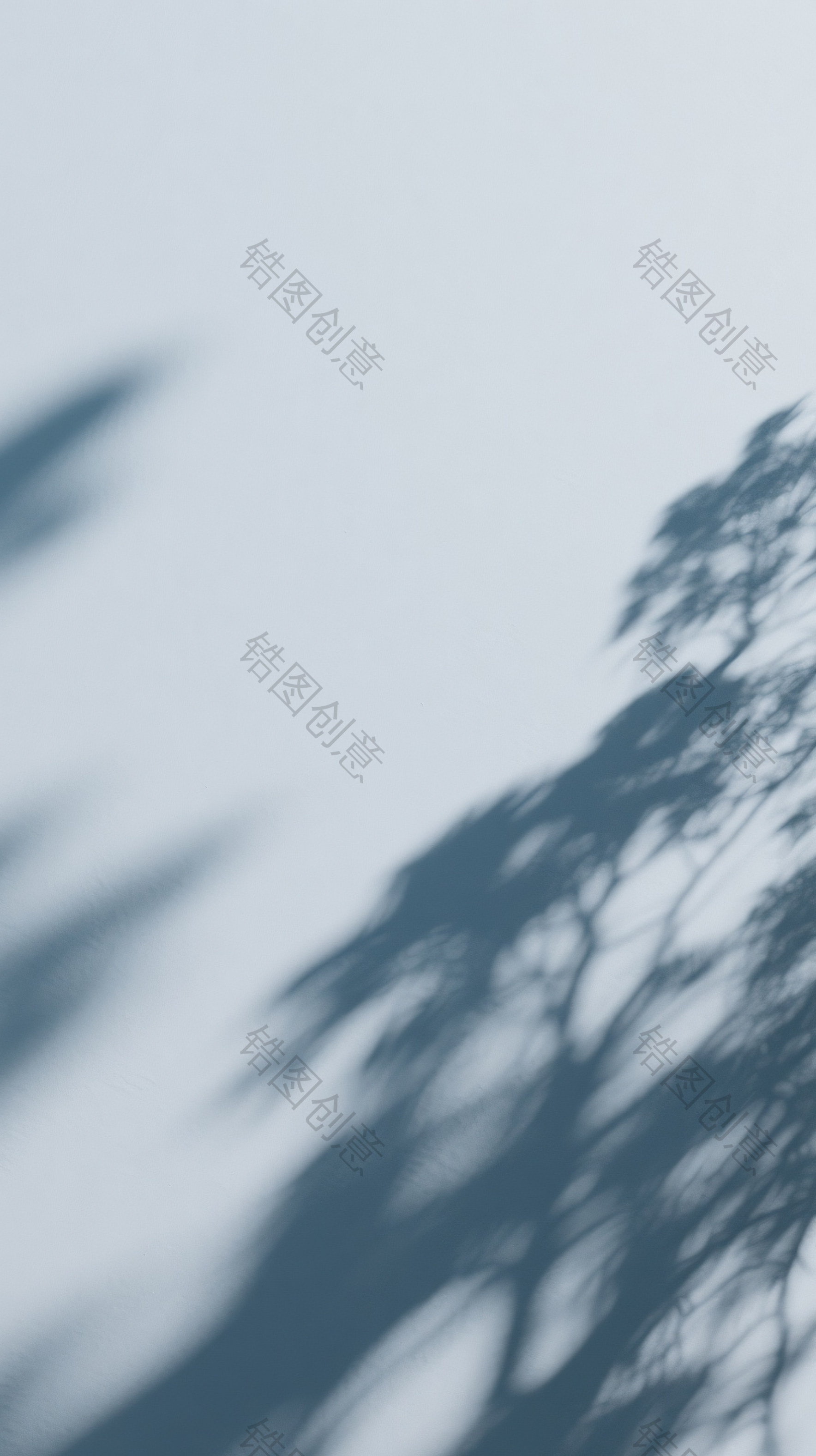 背景通用光影特效植物光影树影图片素材