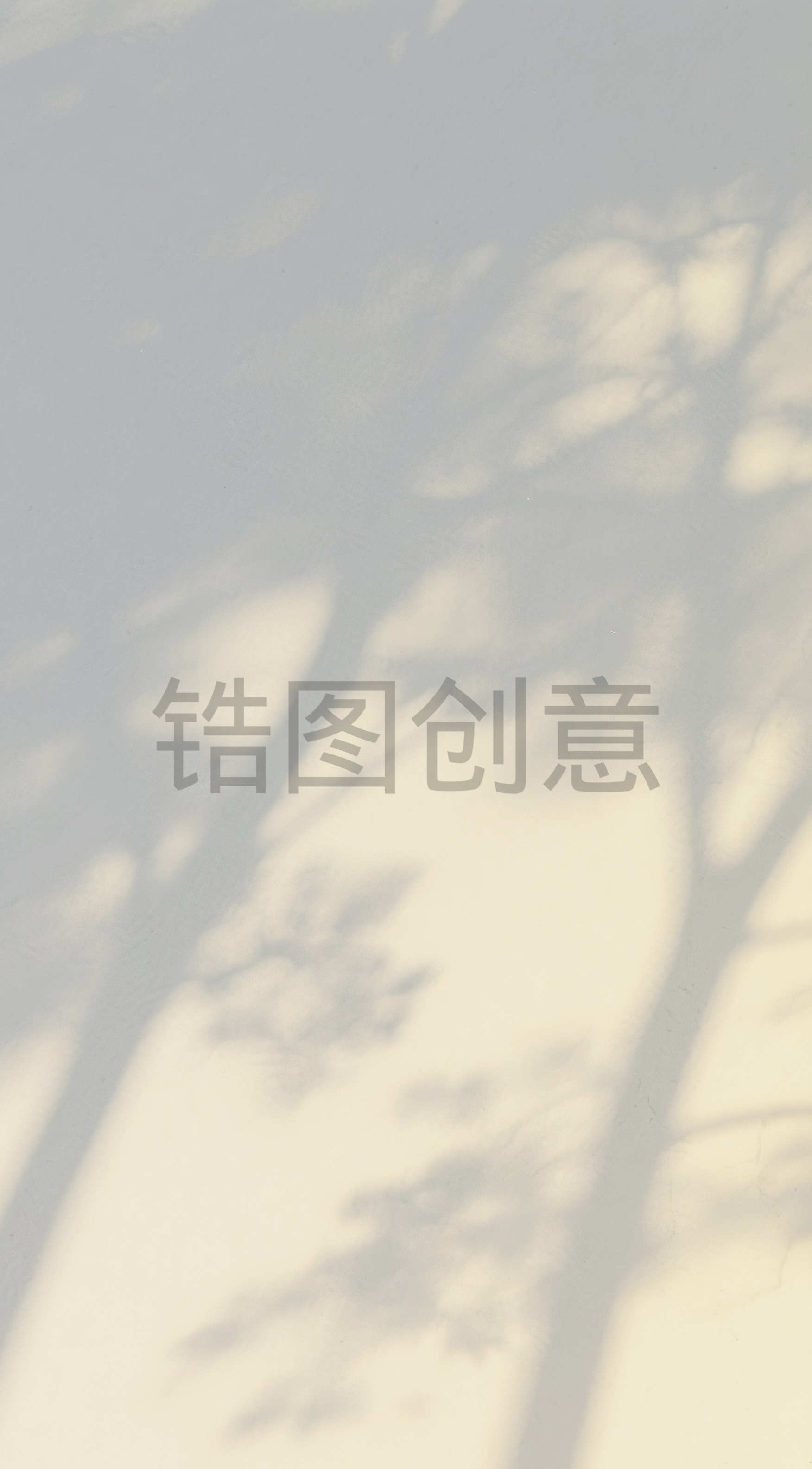 背景通用空间光影特效黑白植物光影树影图片素材