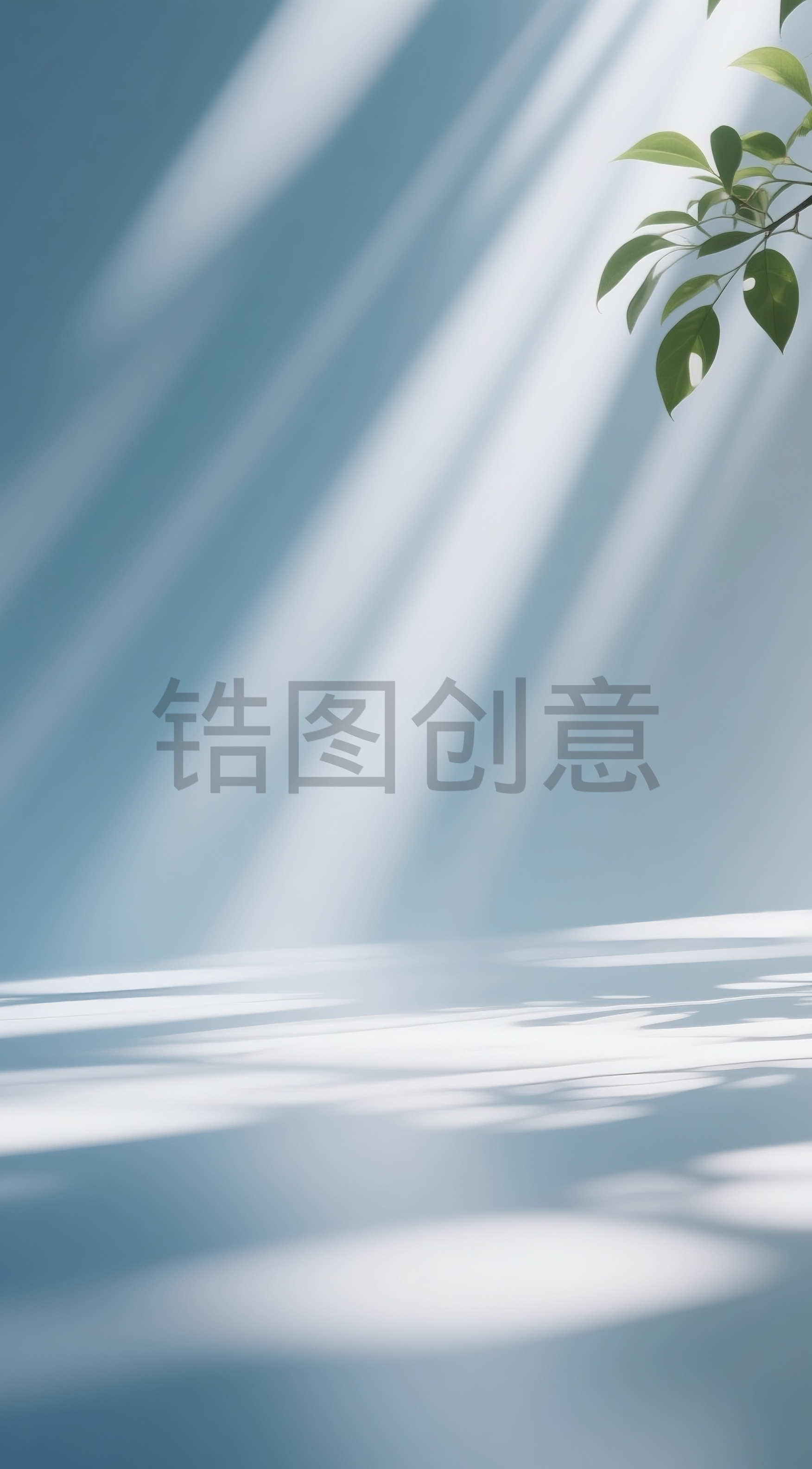 背景通用空间感光影特效植物光影树影图片素材