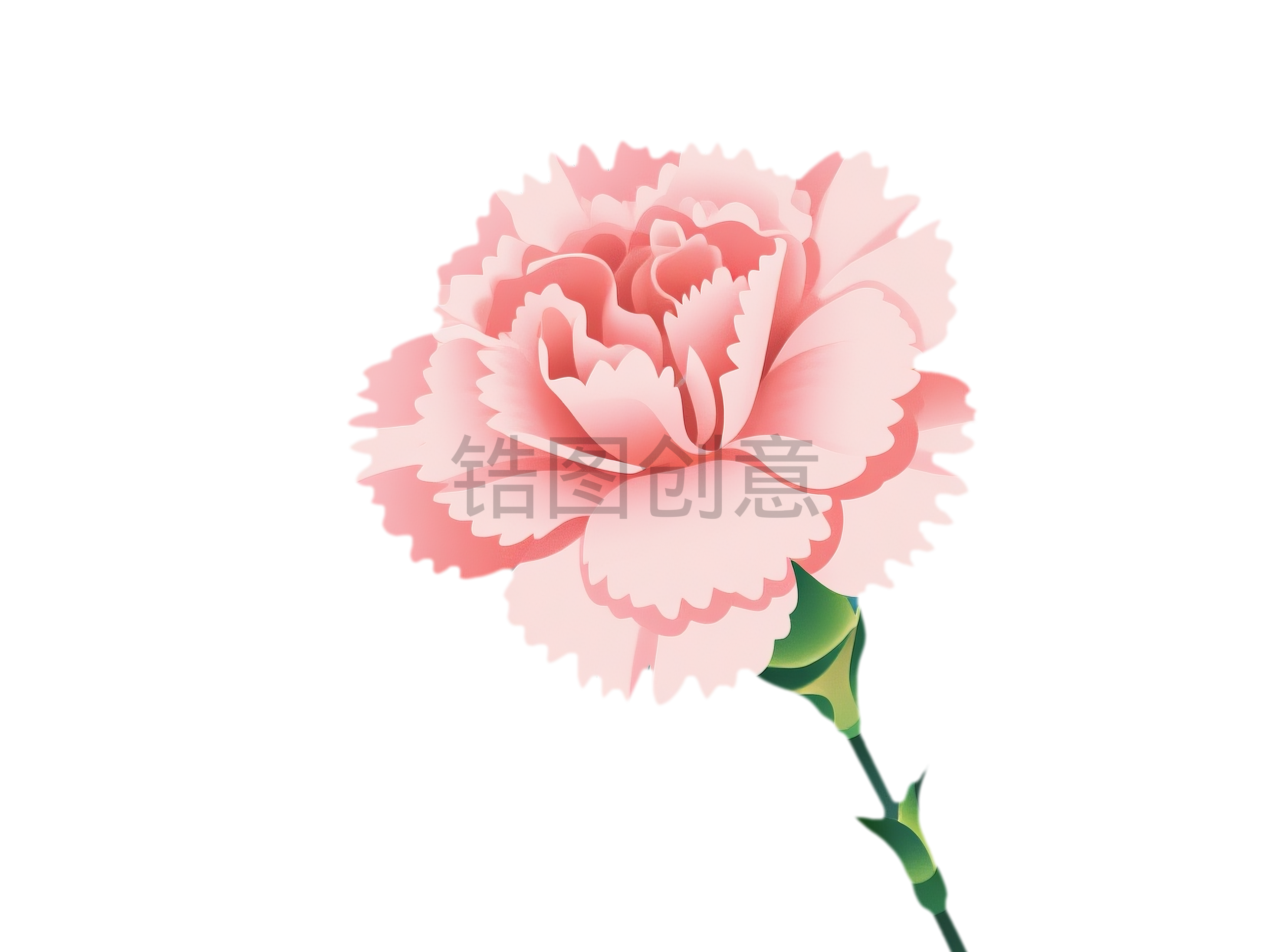 3d粉色植物康乃馨花免扣png元素