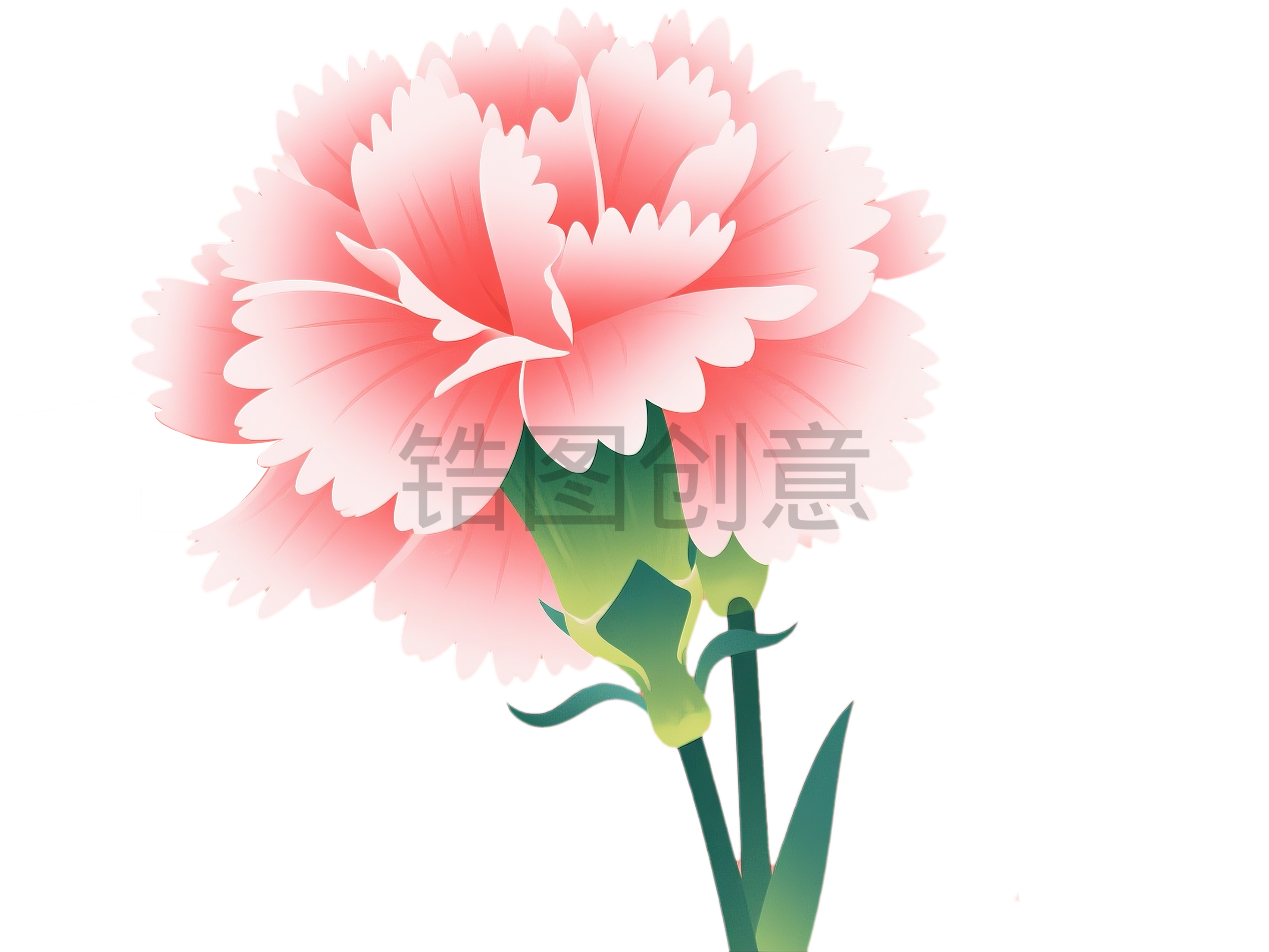 植物系列插画风格康乃馨花瓣母亲节免扣png元素