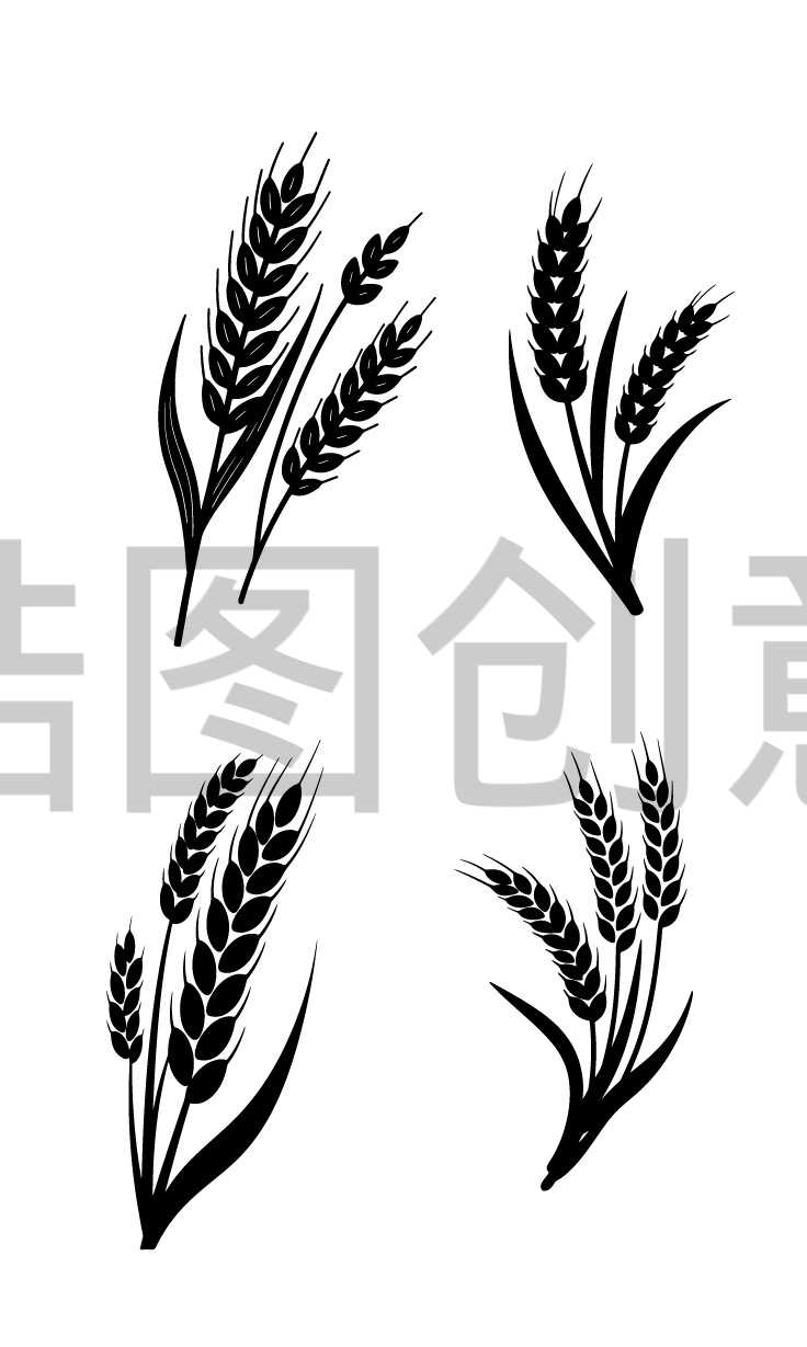 小满芒种小麦麦子扁平元素