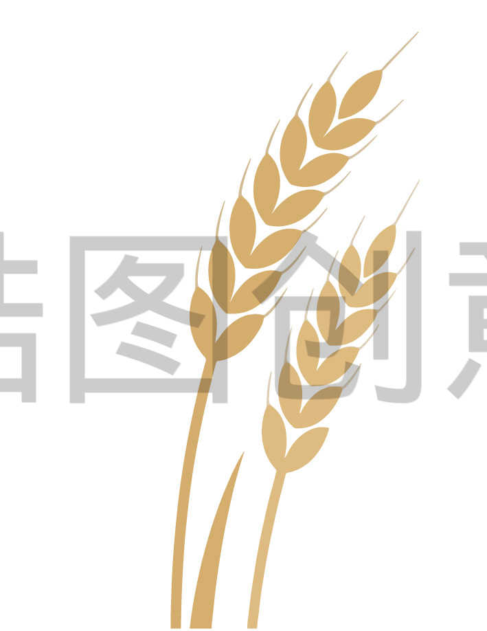小满芒种小麦麦子扁平元素