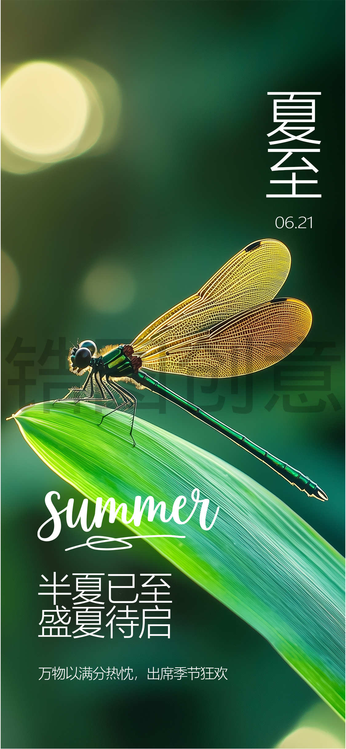夏天夏至立夏大暑节气海报