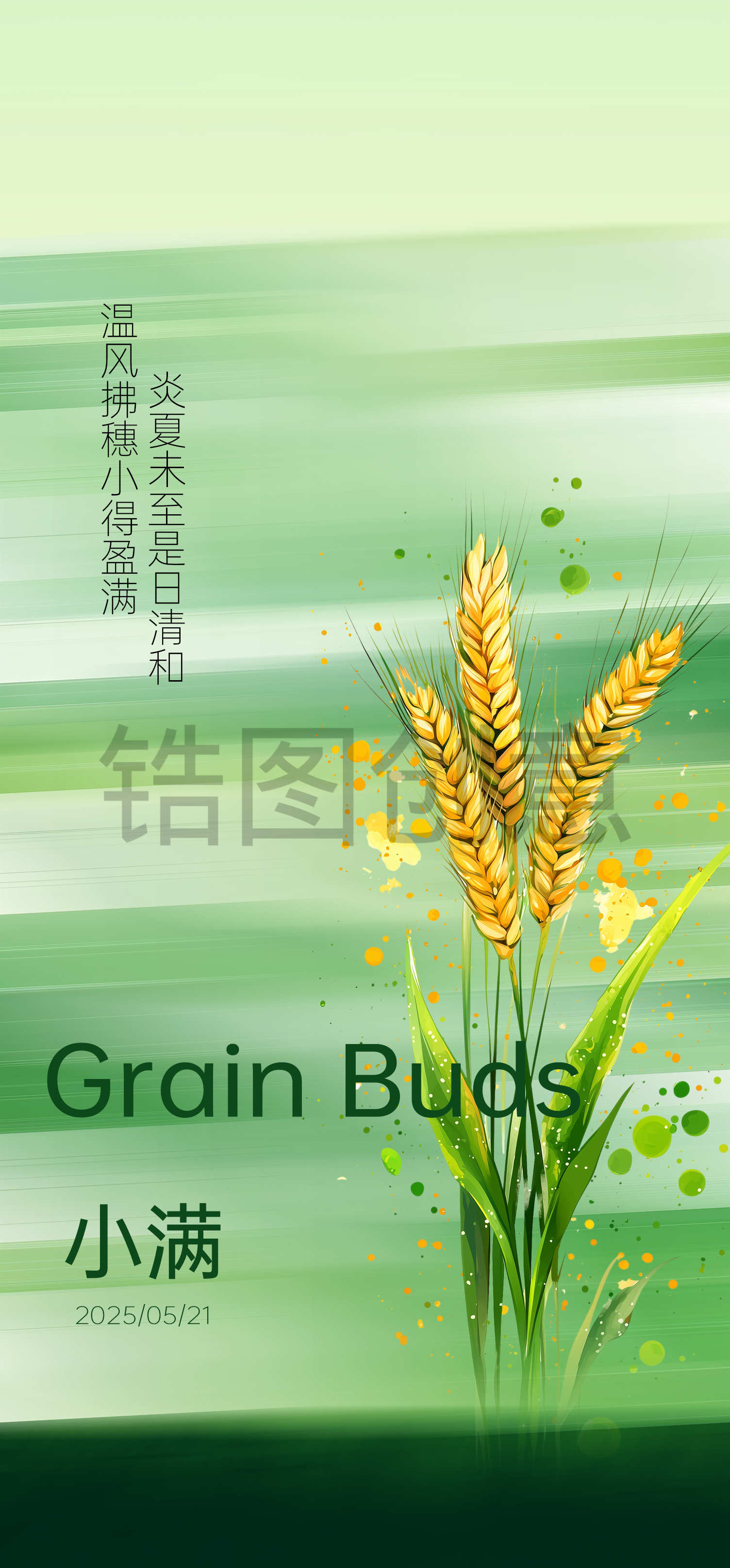 二十四节气小满芒种海报