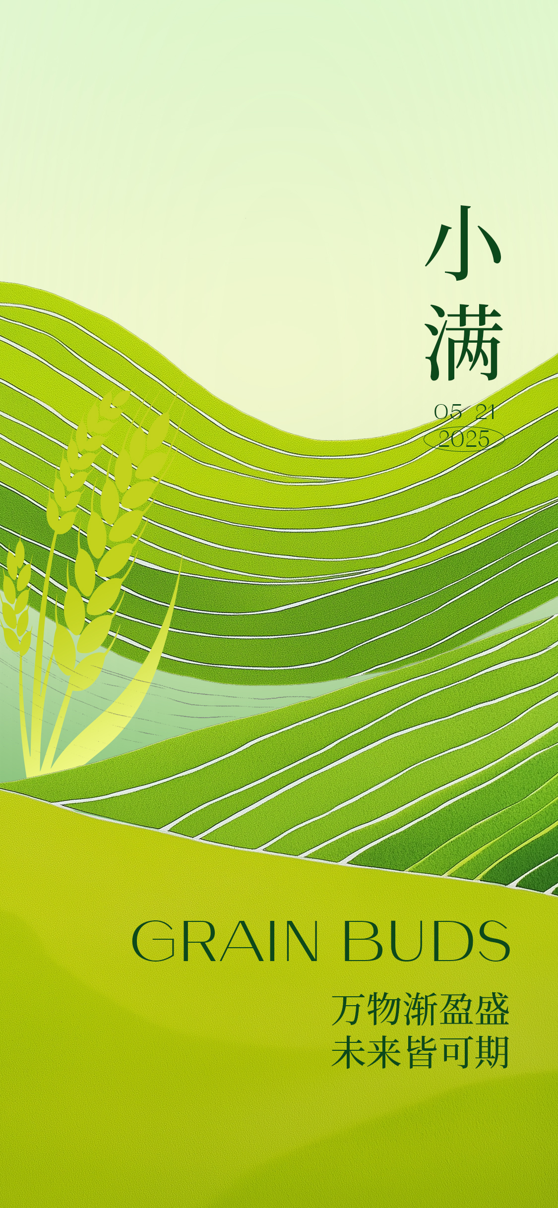二十四节气肌理感小满芒种简约海报