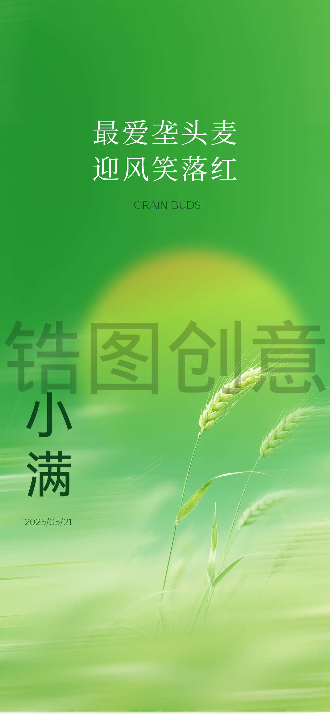 二十四节气小满芒种简约海报.zip