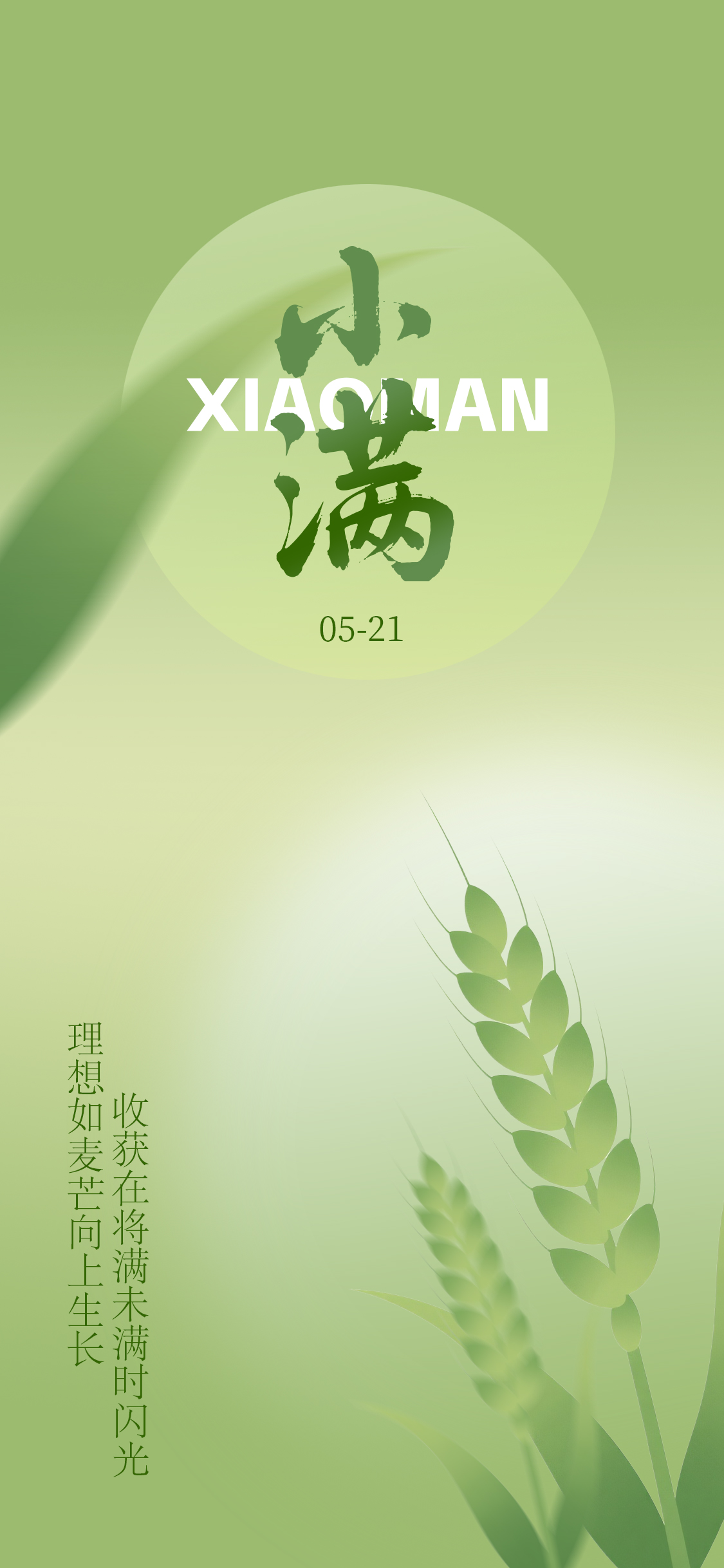 二十四节气节气小满芒种简约海报